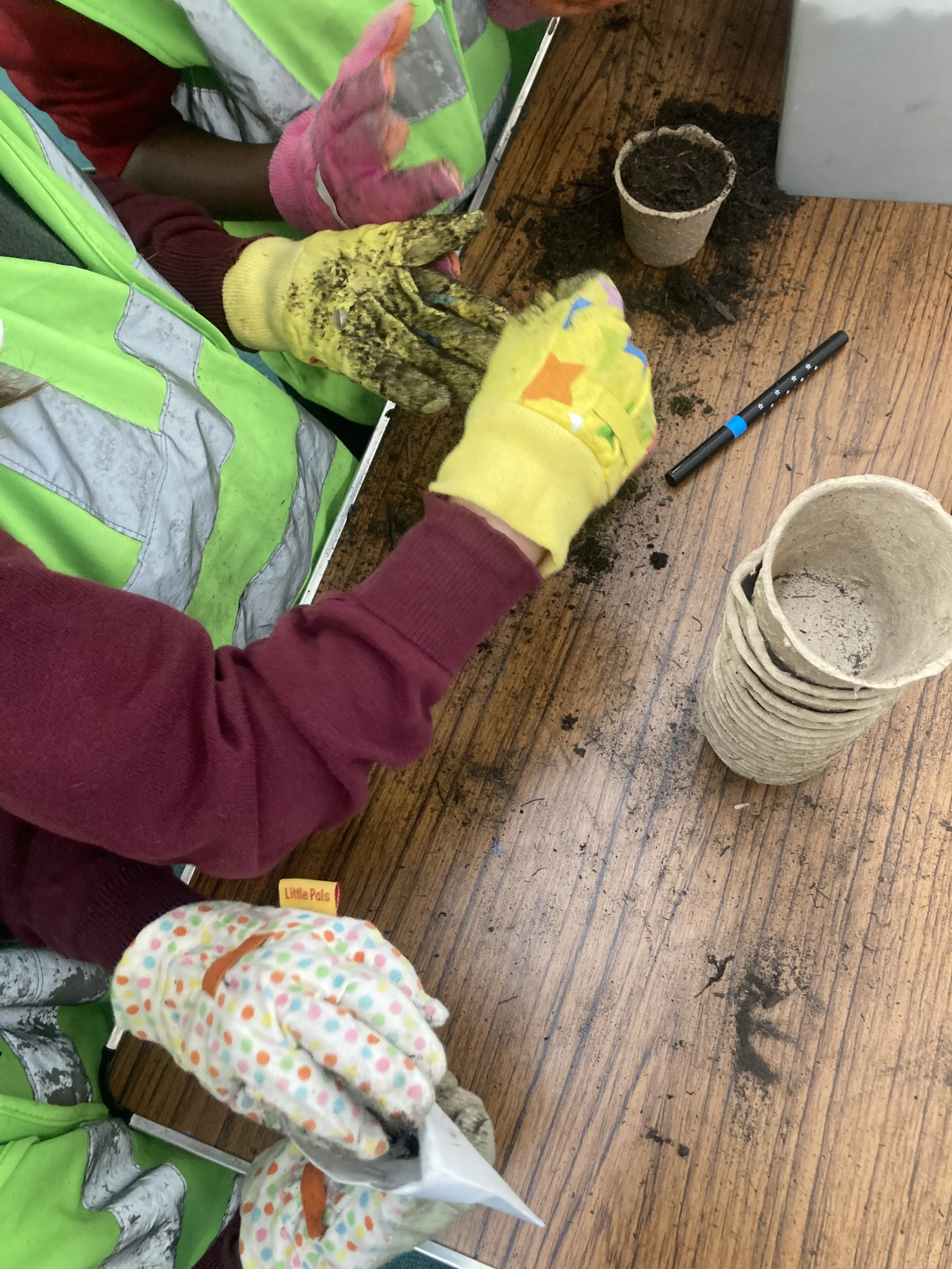 small hands in gardening gloves planting seeds into little pots