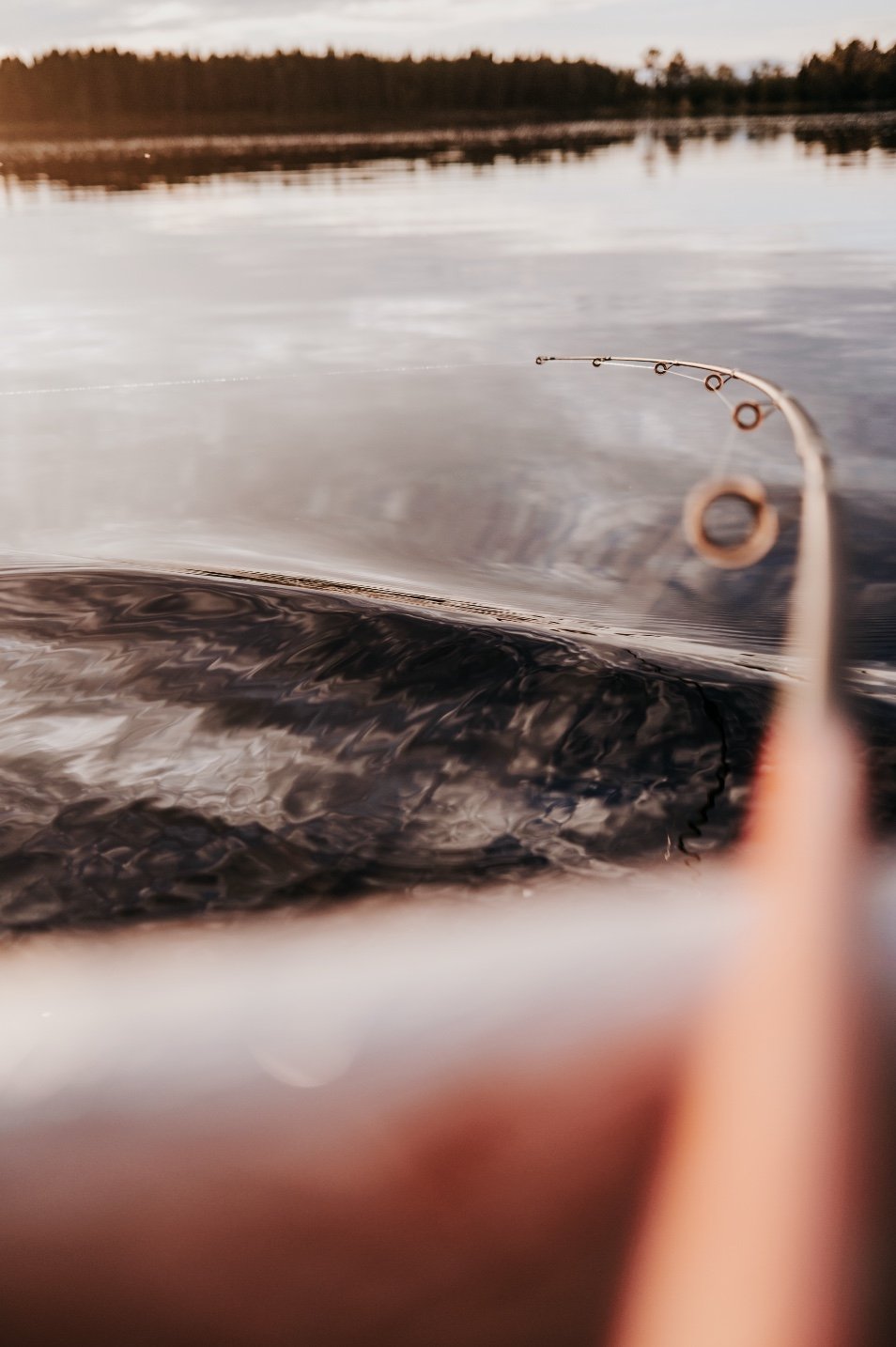 Close-up view of a fishing rod over a body of water during sunset, with trees lining the horizon.