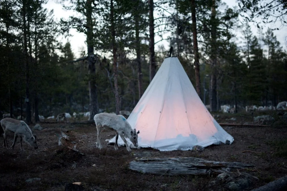 Best small-group tours in Lapland for authentic nature &amp; local traditions