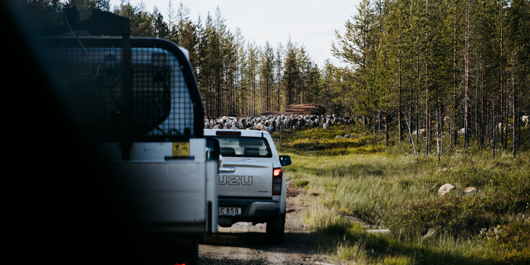 Waar ligt Sápmi? Alles over het leefgebied van de sámi