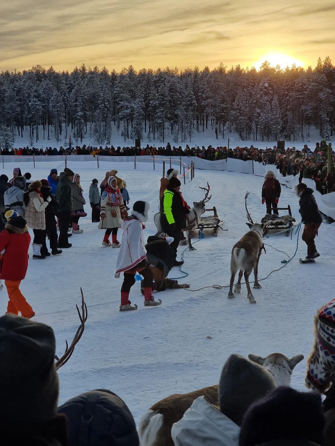 Wintermarkt in Jokkmokk: alles wat je moet weten voor je bezoek