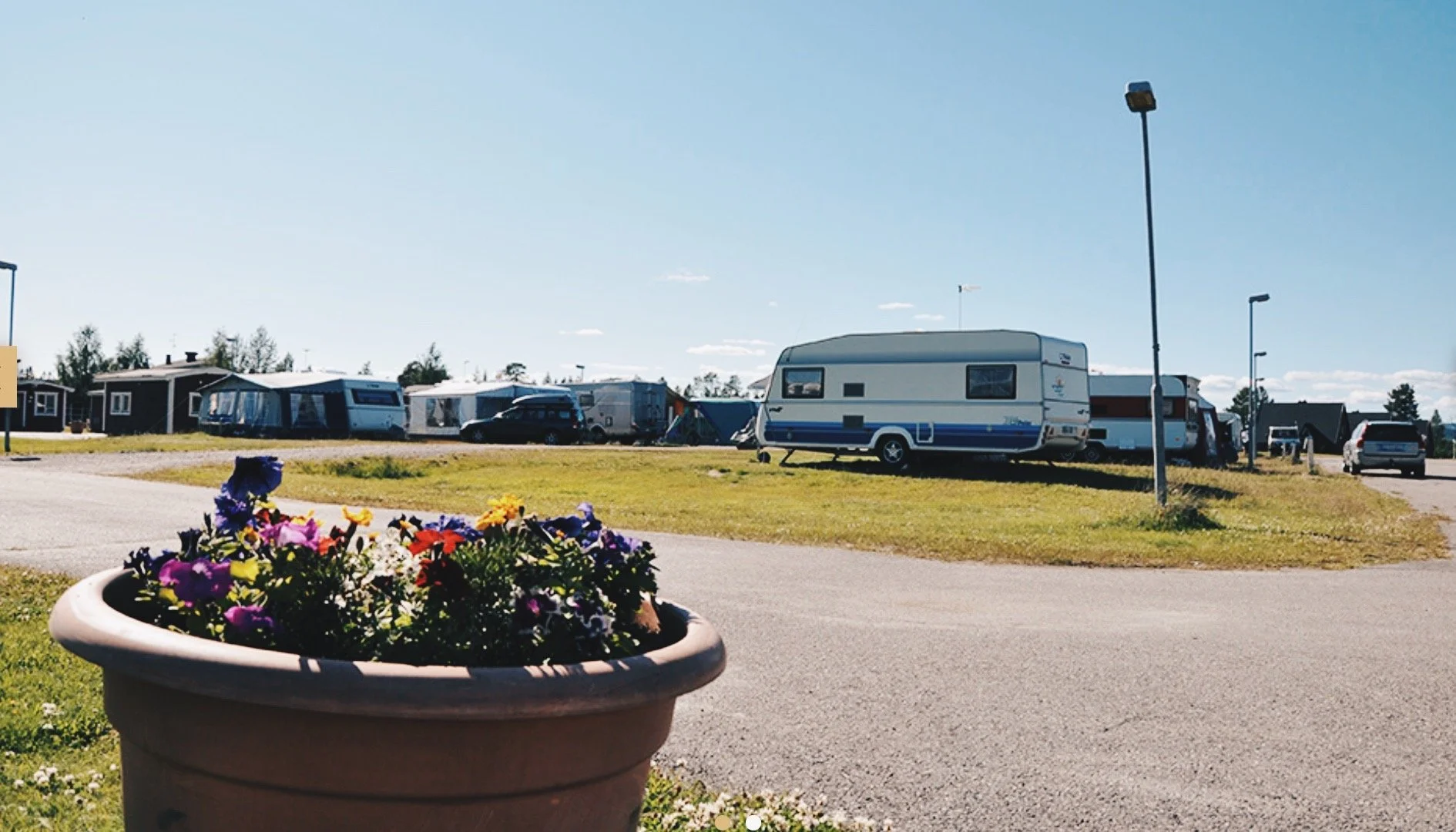 A parking lot with parked RVs and cars under a clear blue sky, with a flowered plant in a pot in the foreground.
