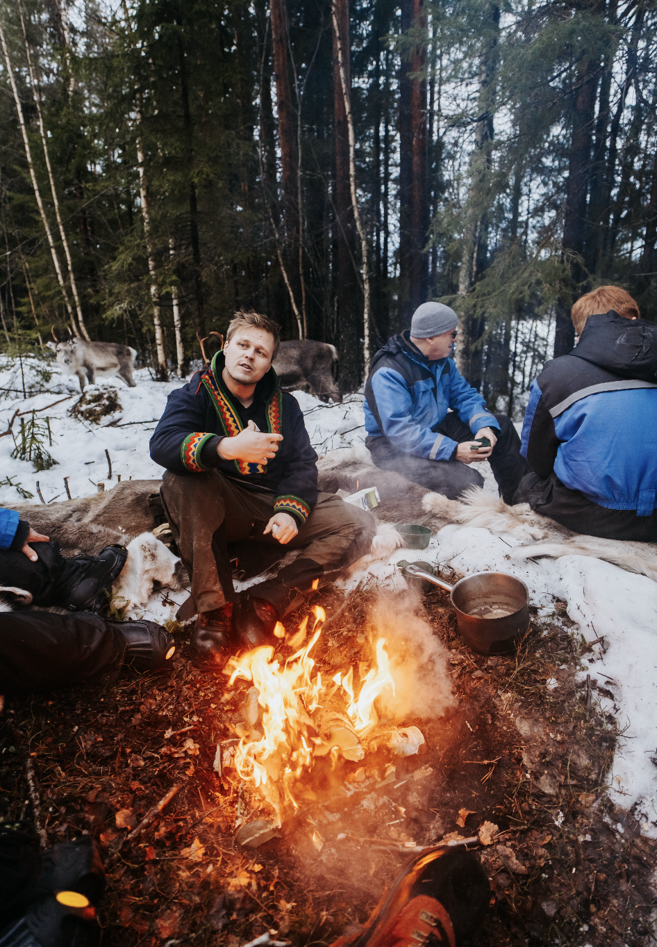 Go To Sapmi, meet the reindeer