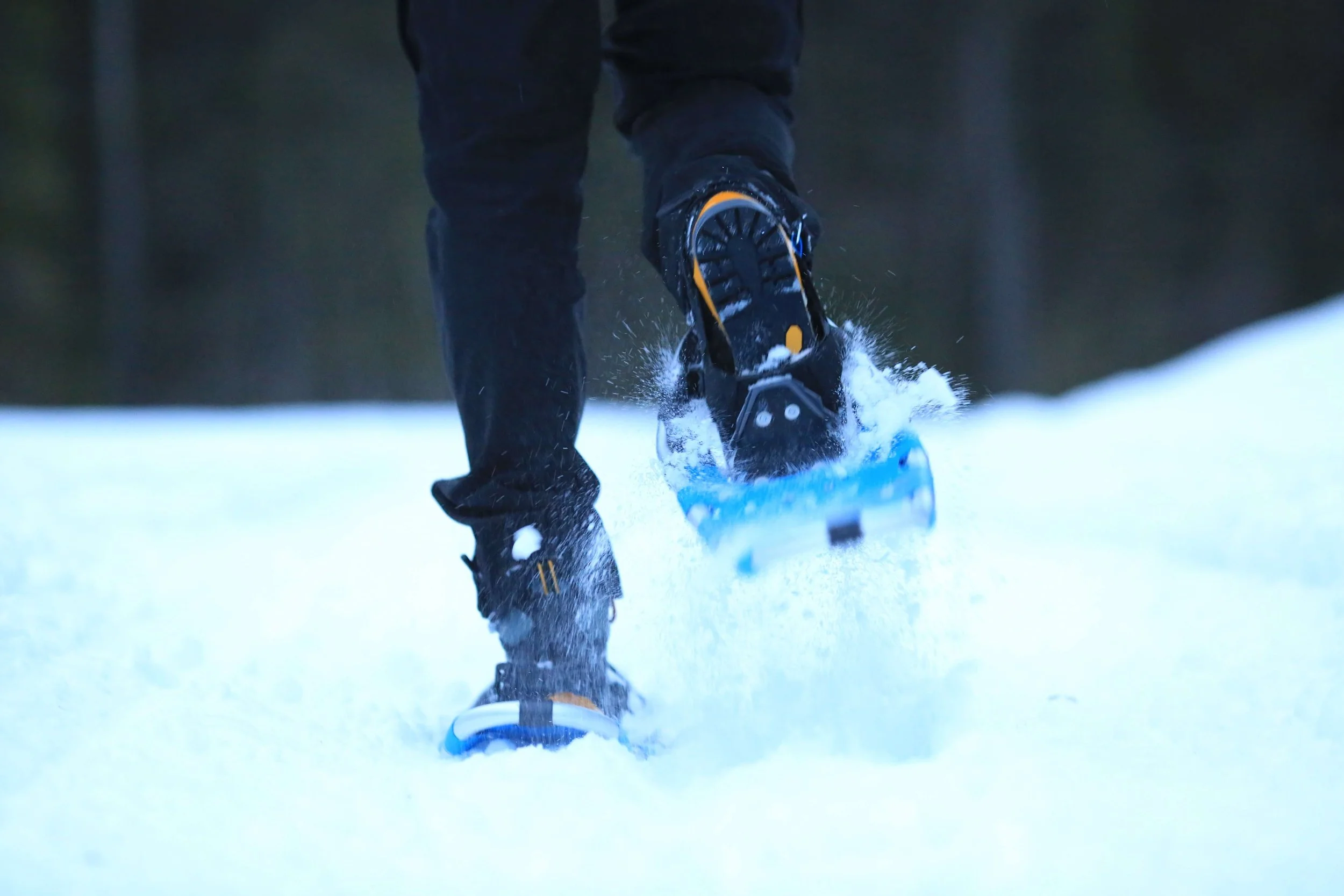 nordic skiing lulea
