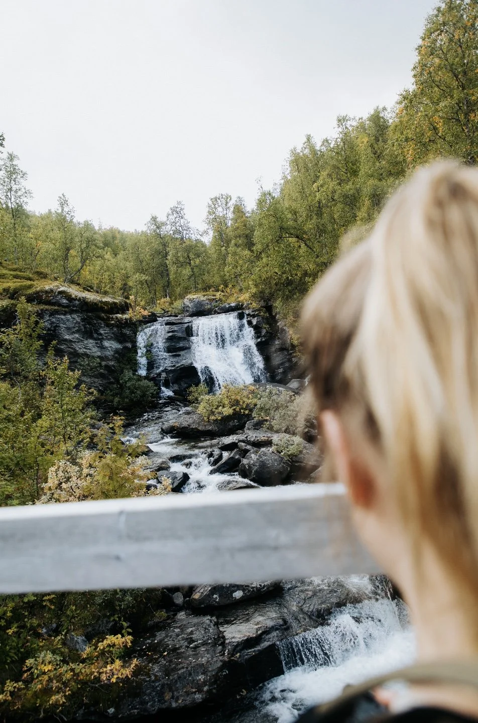 A person with blonde hair looking at a waterfall surrounded by trees in a forest.