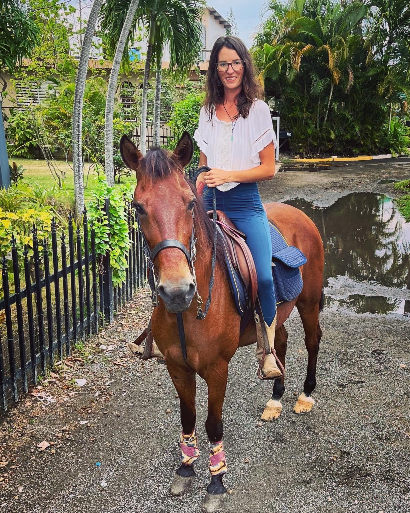 A brown and white horse walking on a grassy field with trees in the background.