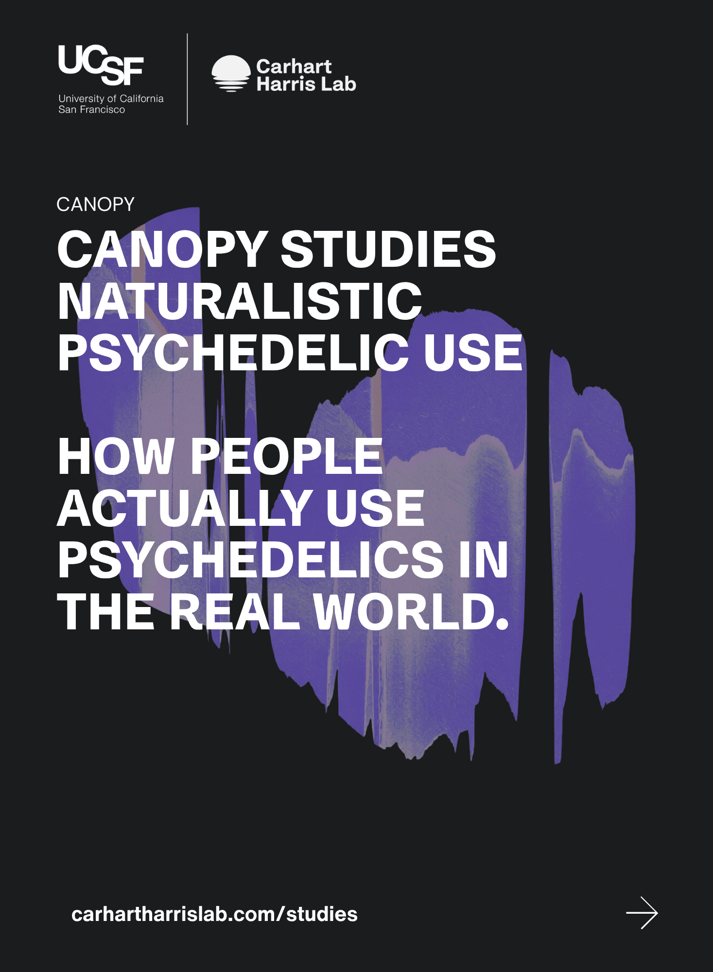 CANOPY (3).png