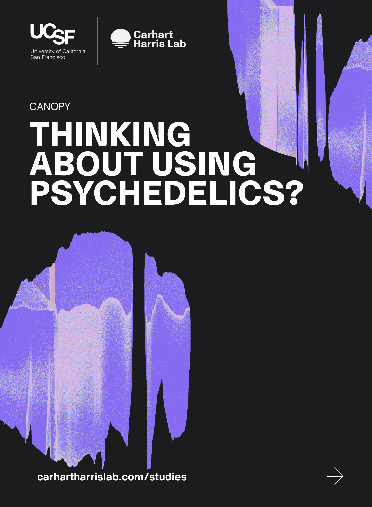 CANOPY (2).png