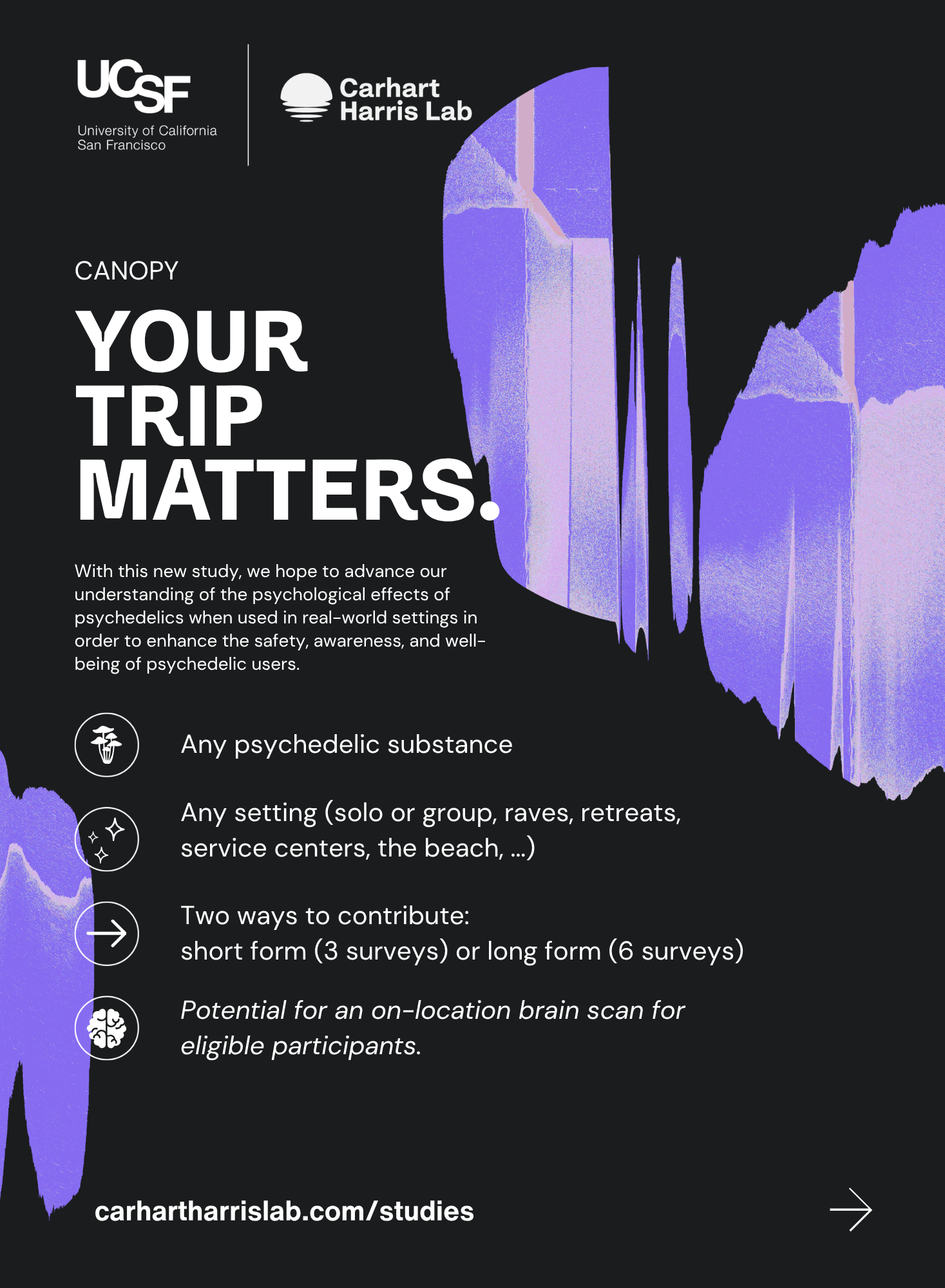 CANOPY.png