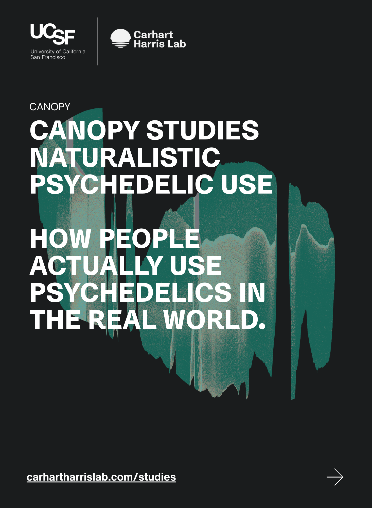 canopy page 2_online.png