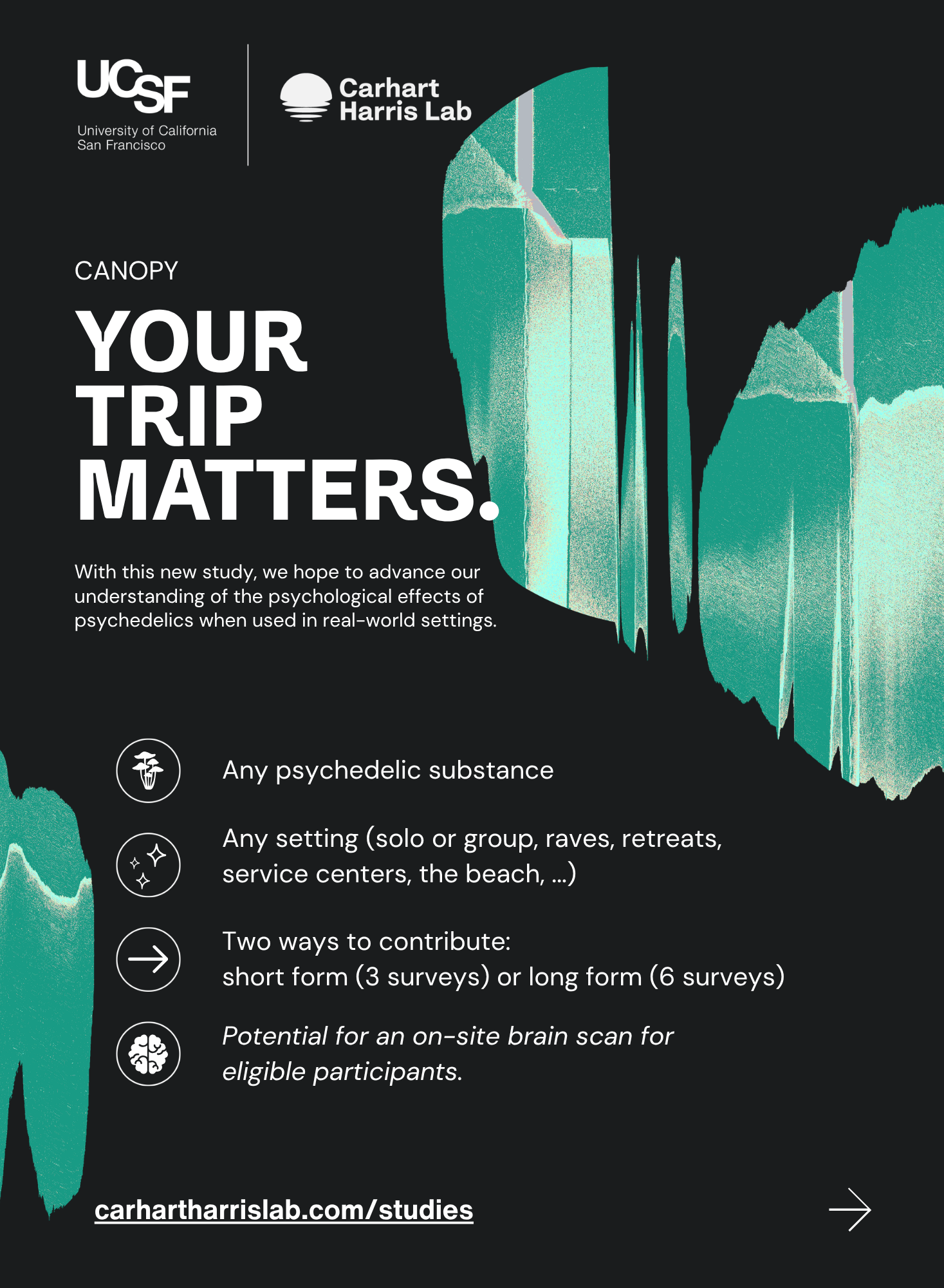 CANOPY_online.png