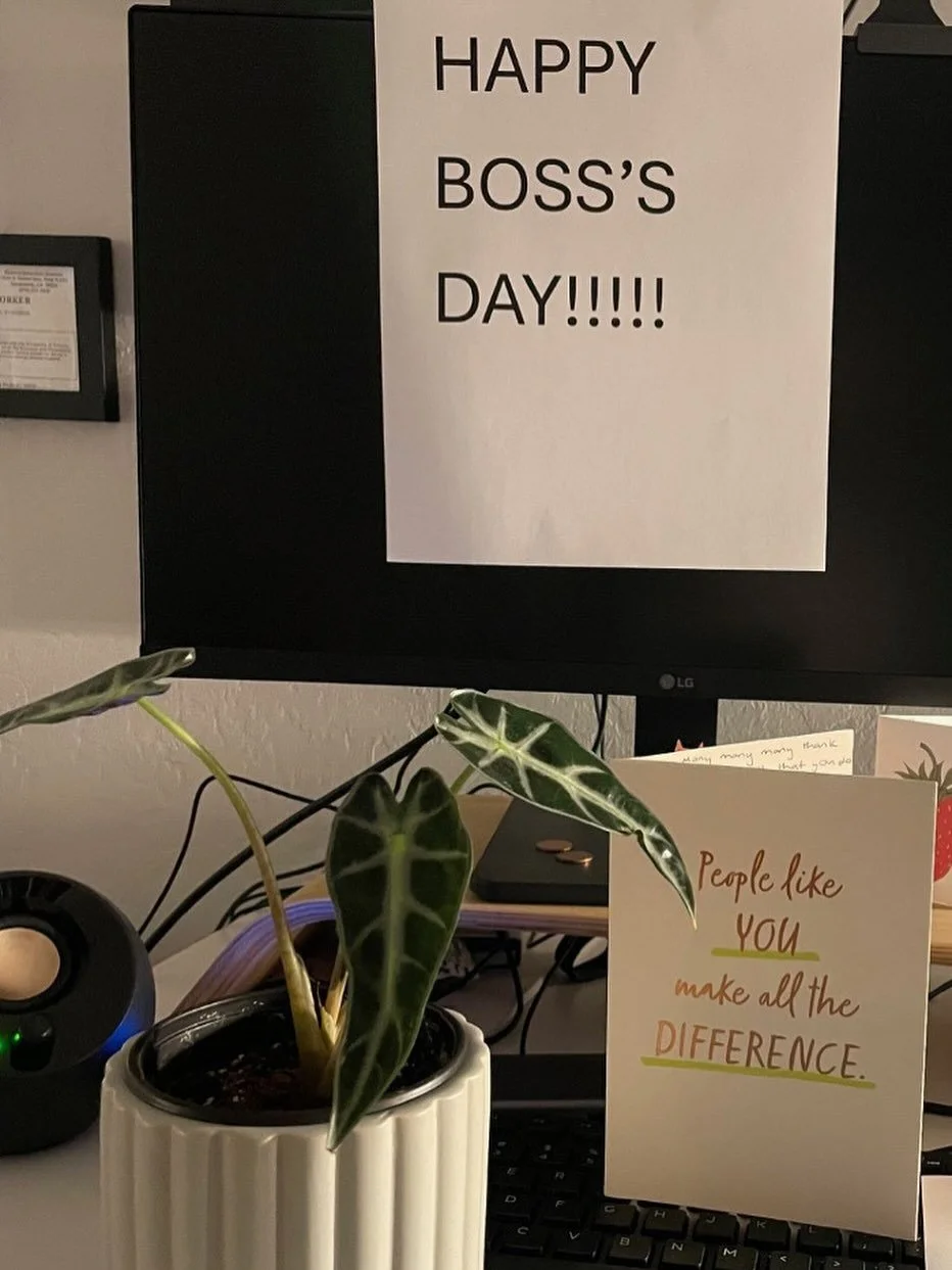 Sweetest appreciation from the team. Makes my heart happy and so grateful to be part of this crew. 💛 I&rsquo;m pretty sure the plant is called Sarah.