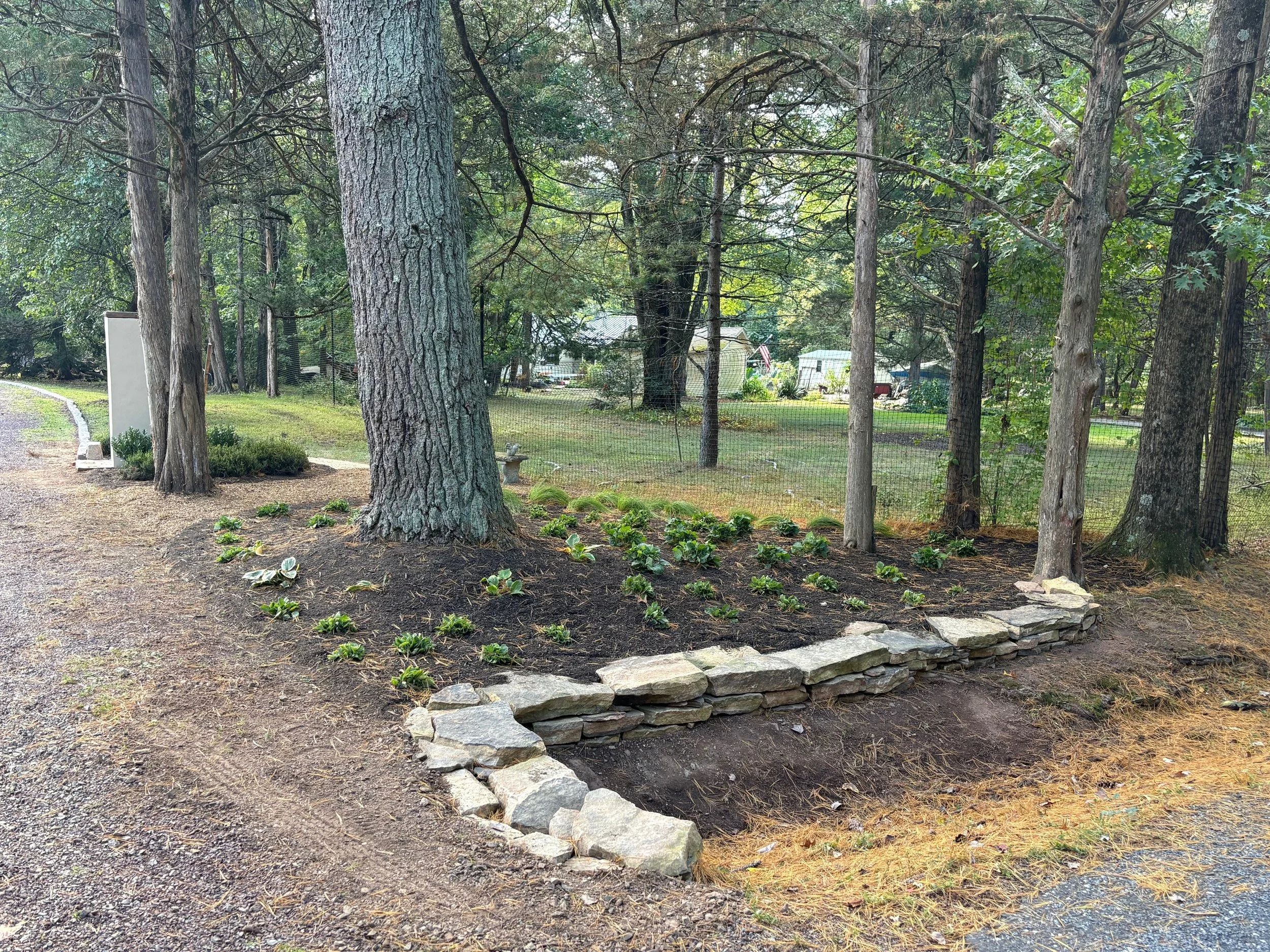 Retaining Wall + Plantings