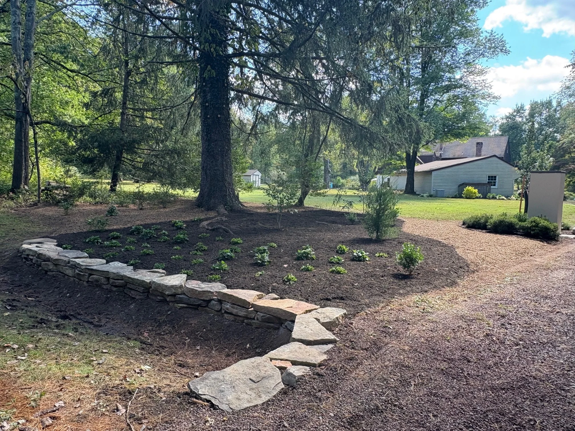 Retaining Wall + Plantings