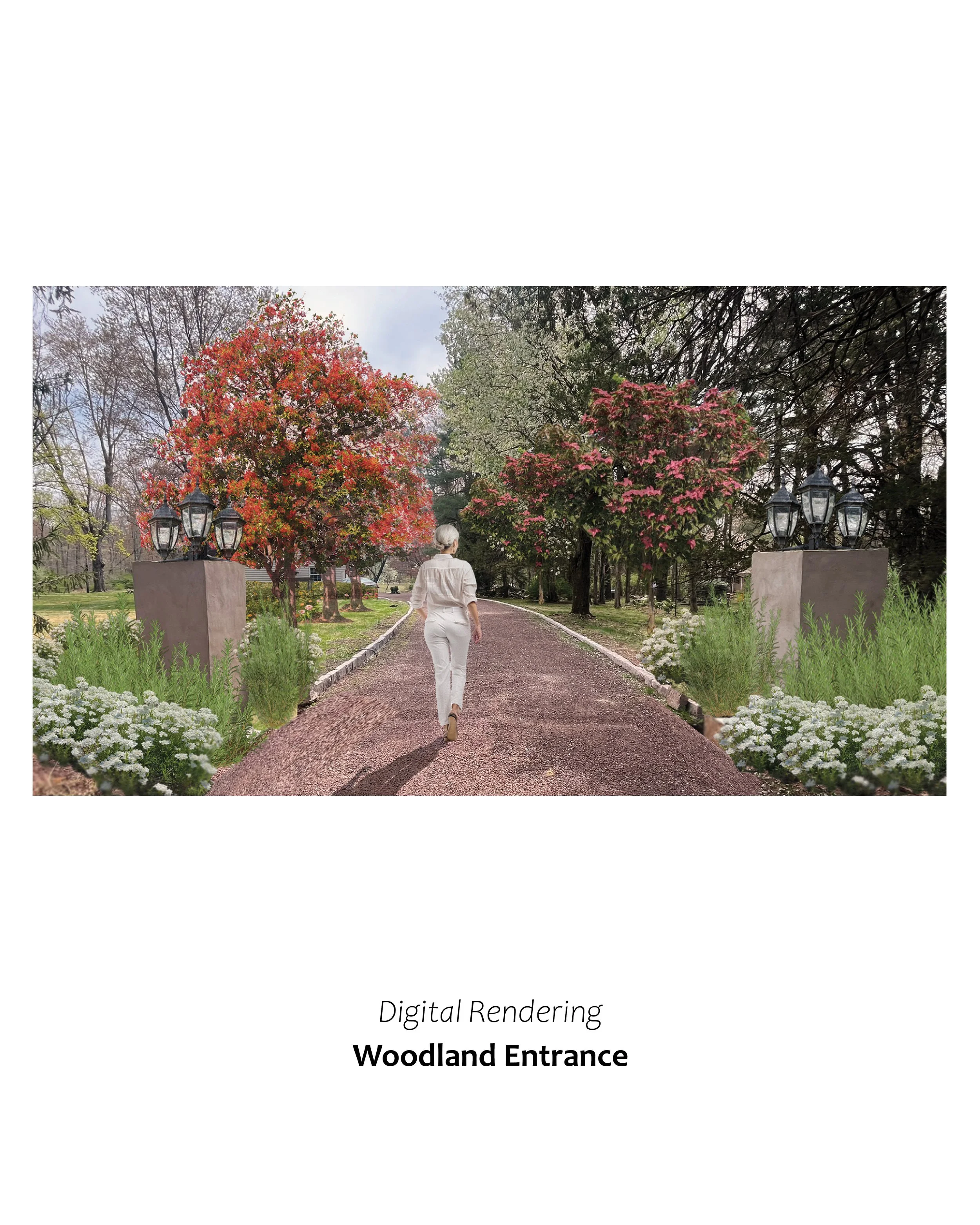 Bayberry Finished - Phase I - Sept '252.jpg