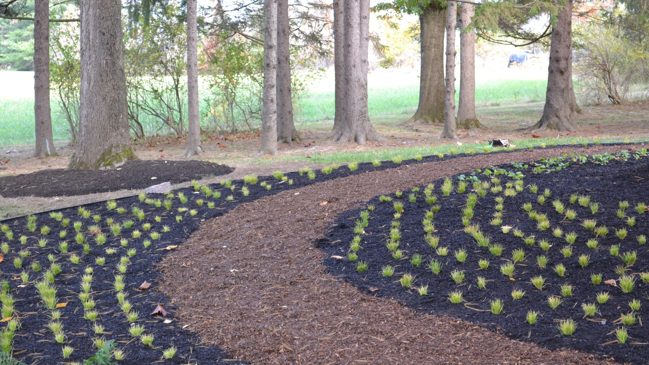 Woodland Edge - Lambertville, NJ