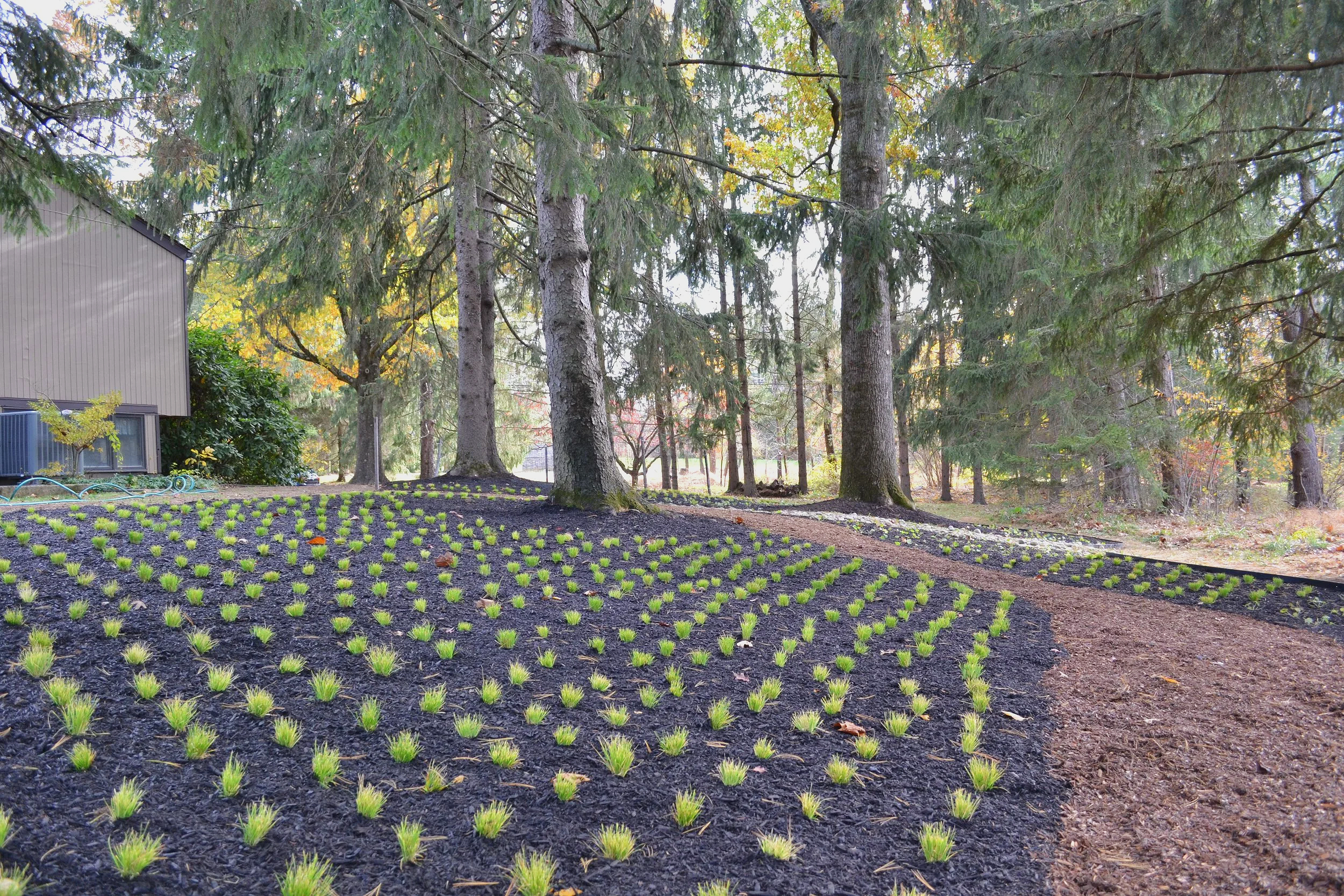 Designing with Plugs