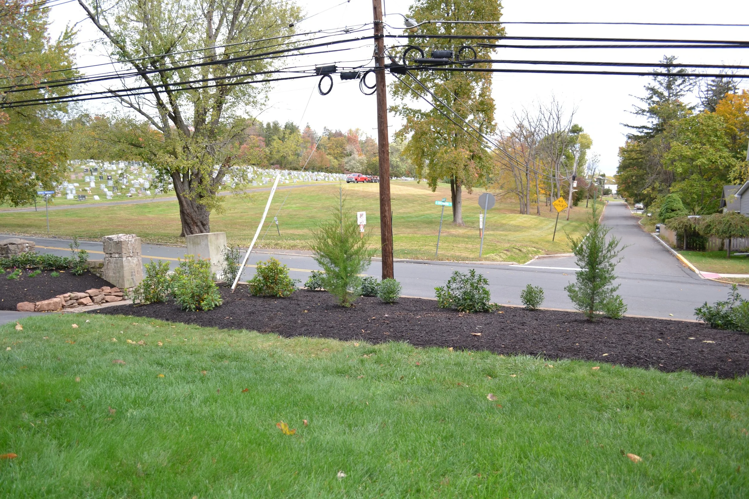 Native shrubs provide screening