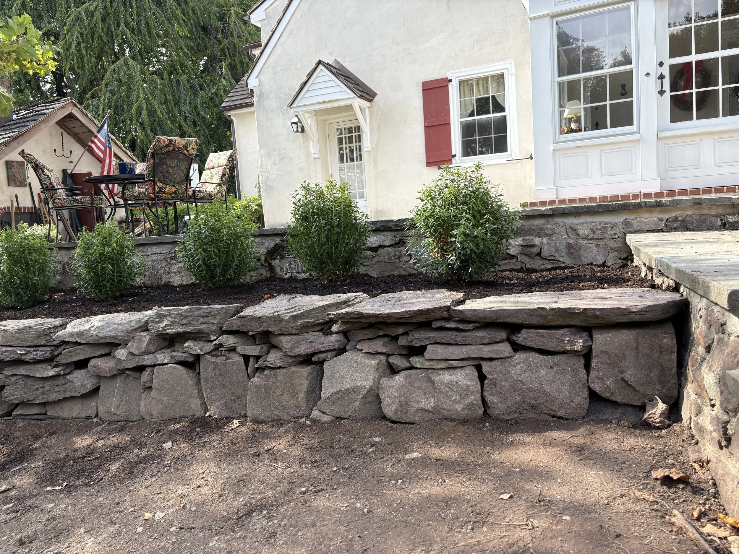 Retaining wall + Inkberry Shrubs