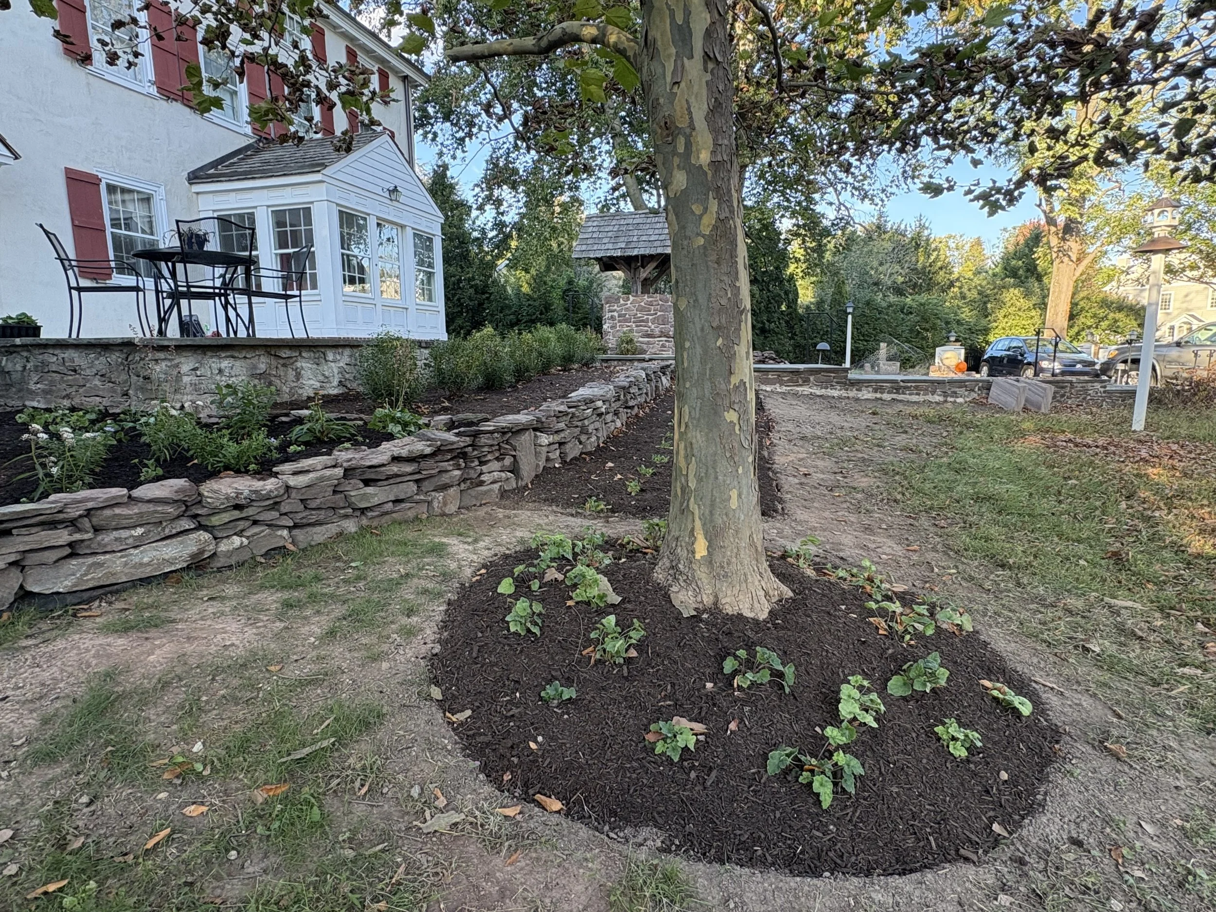 Retaining wall + plantings