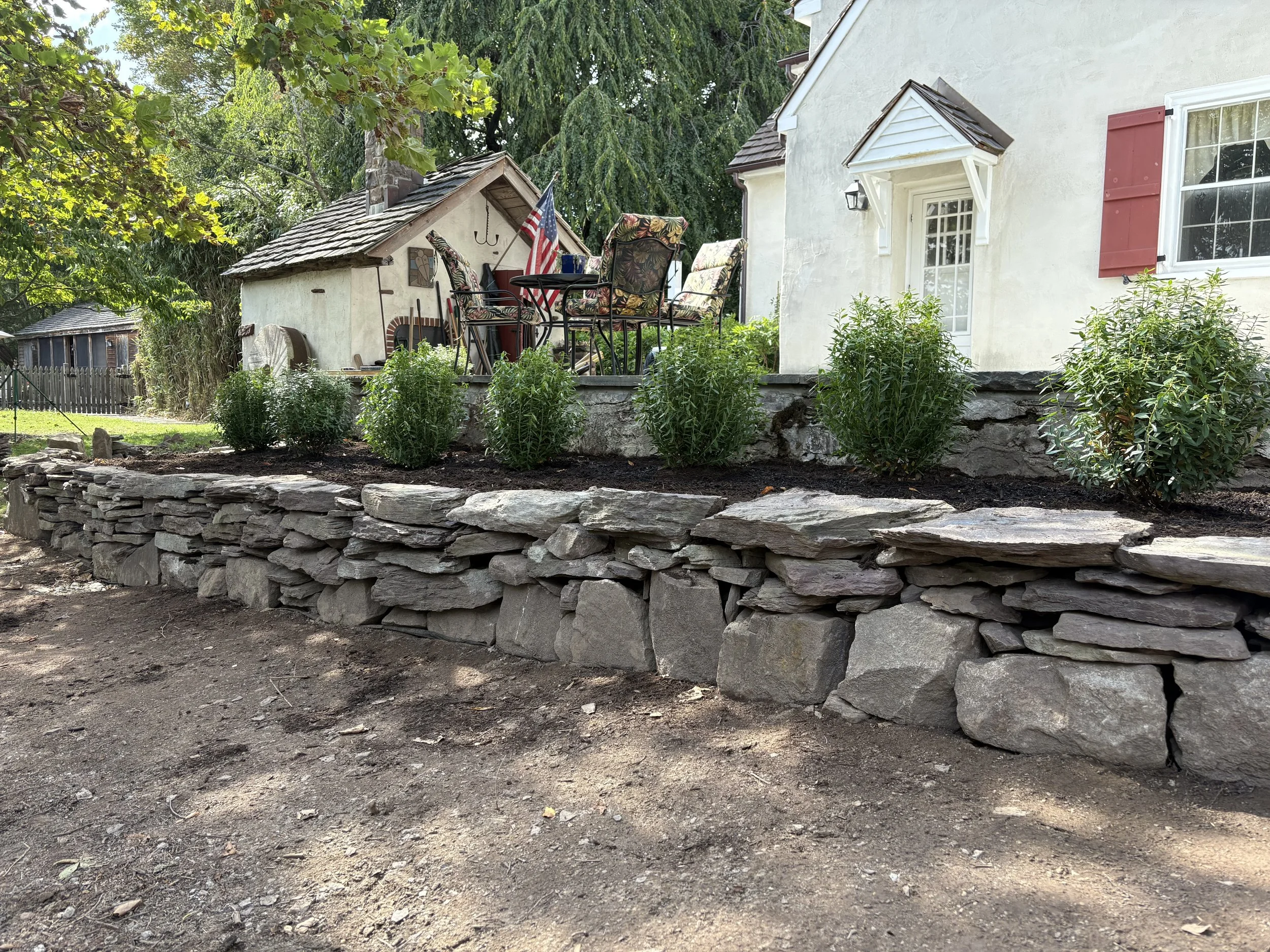 Retaining wall + Inkberry Shrubs