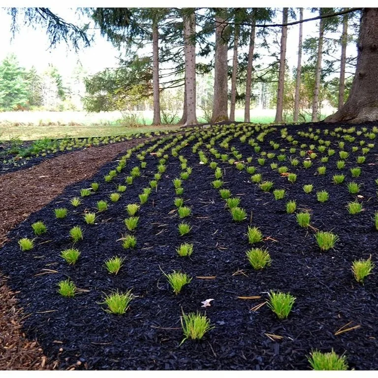 Woodland Edge - Lambertville, NJ