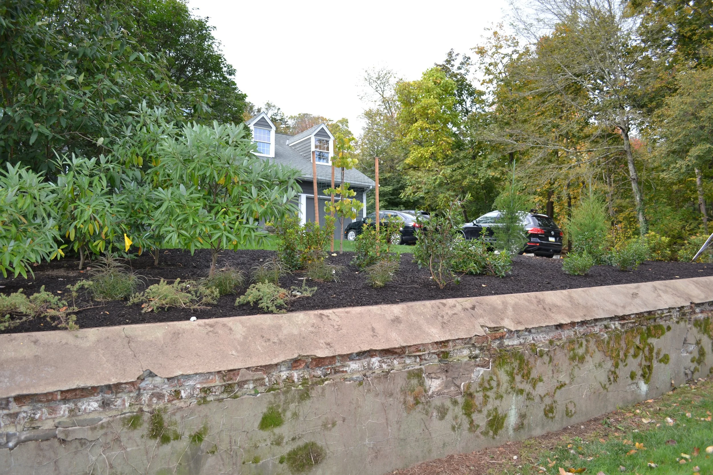 View from the sidewalk