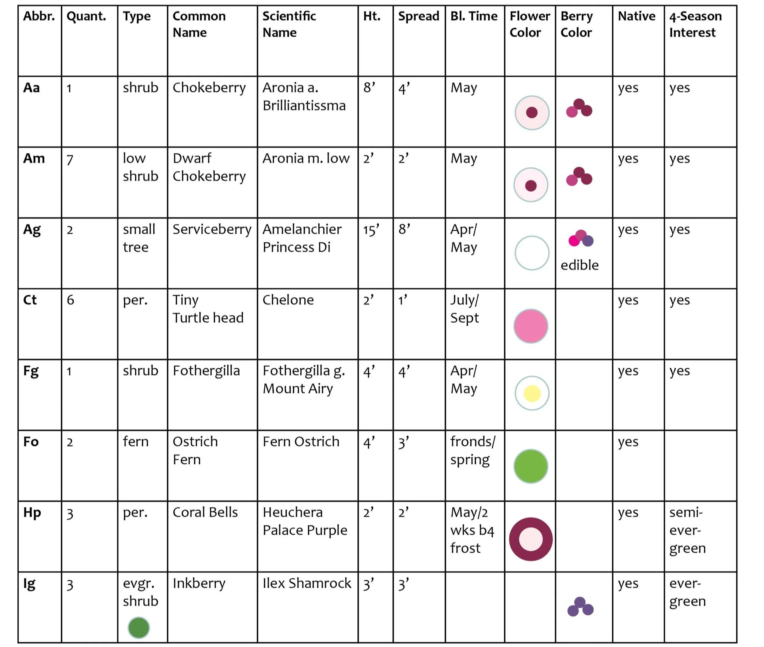 A botanical chart listing various plant species with details such as common name, scientific name, height, spread, bloom time, flower color, berry color, native status, and four-season interest. The chart includes plants like chokeberry, dwarf chokeberry, serviceberry, tiny turtle head, fothergilla, ostrich fern, coral bells, and inkberry.