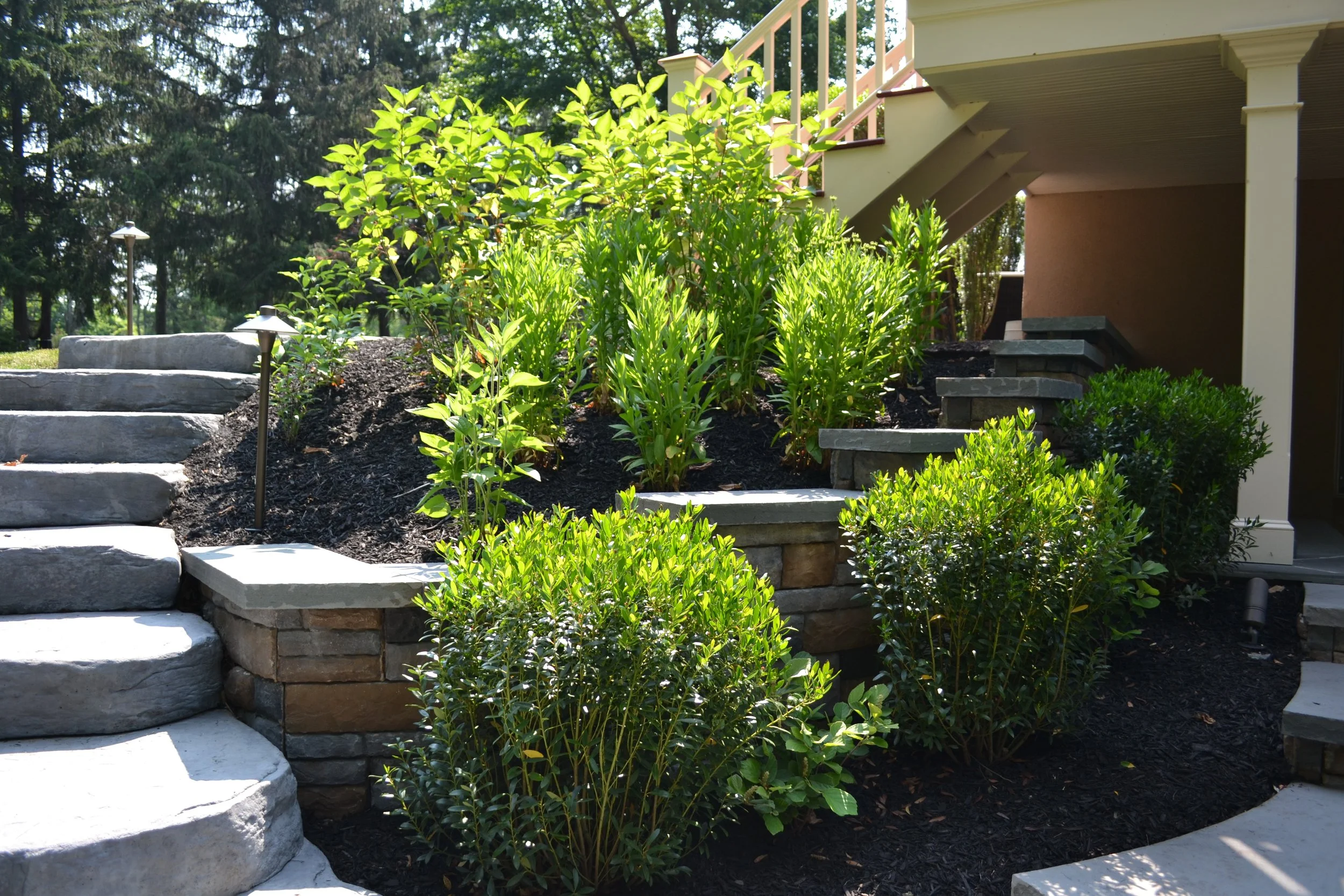 A garden bed with green shrubs, pink flowers, and dark soil, bordered by grass on one side and a concrete curb on the other.