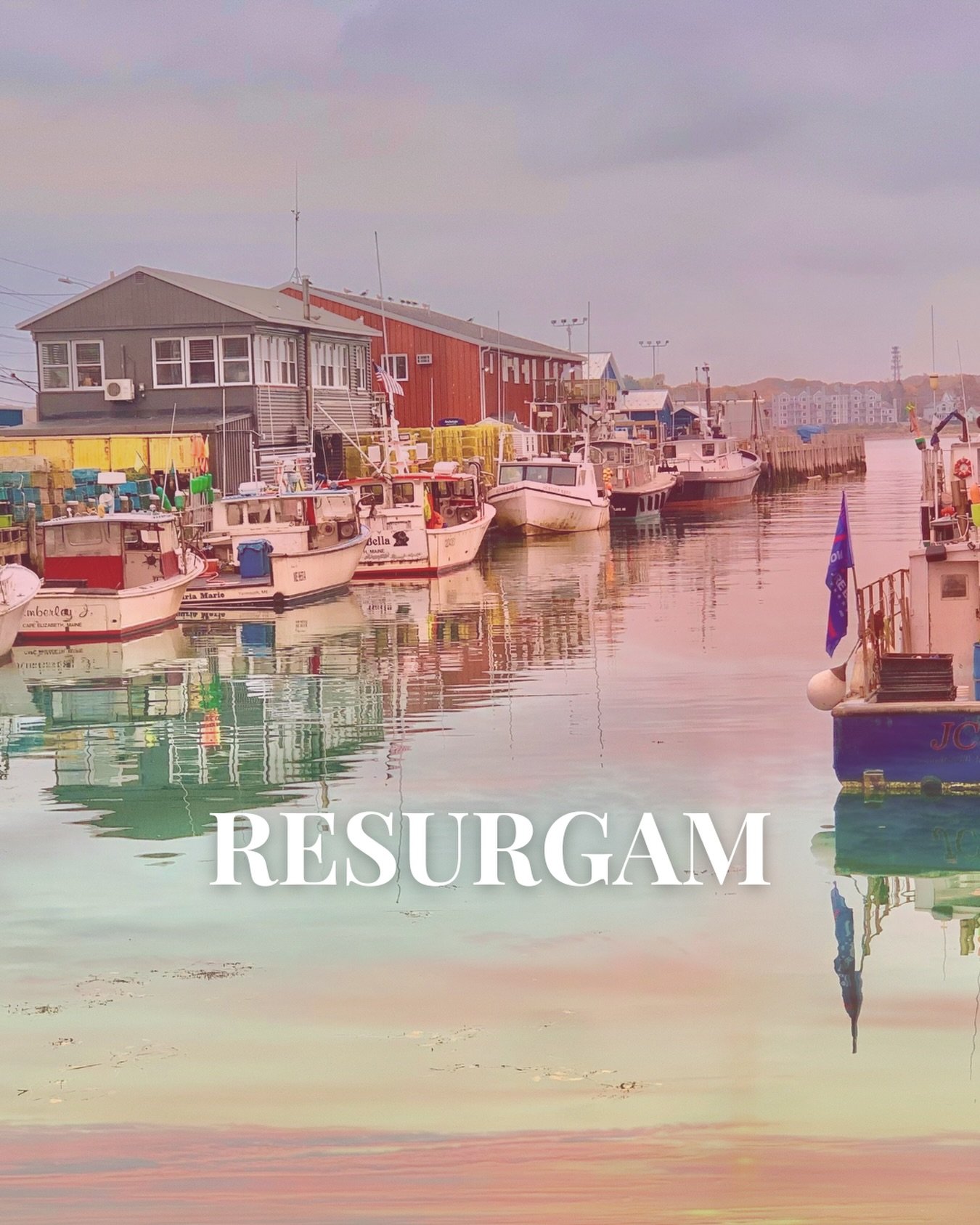 Last night a fire on Custom House Wharf impacted several local businesses and those who make their living on the water. Today, the swift action of our fire department and outpouring of local support remind us how connected and resilient our community