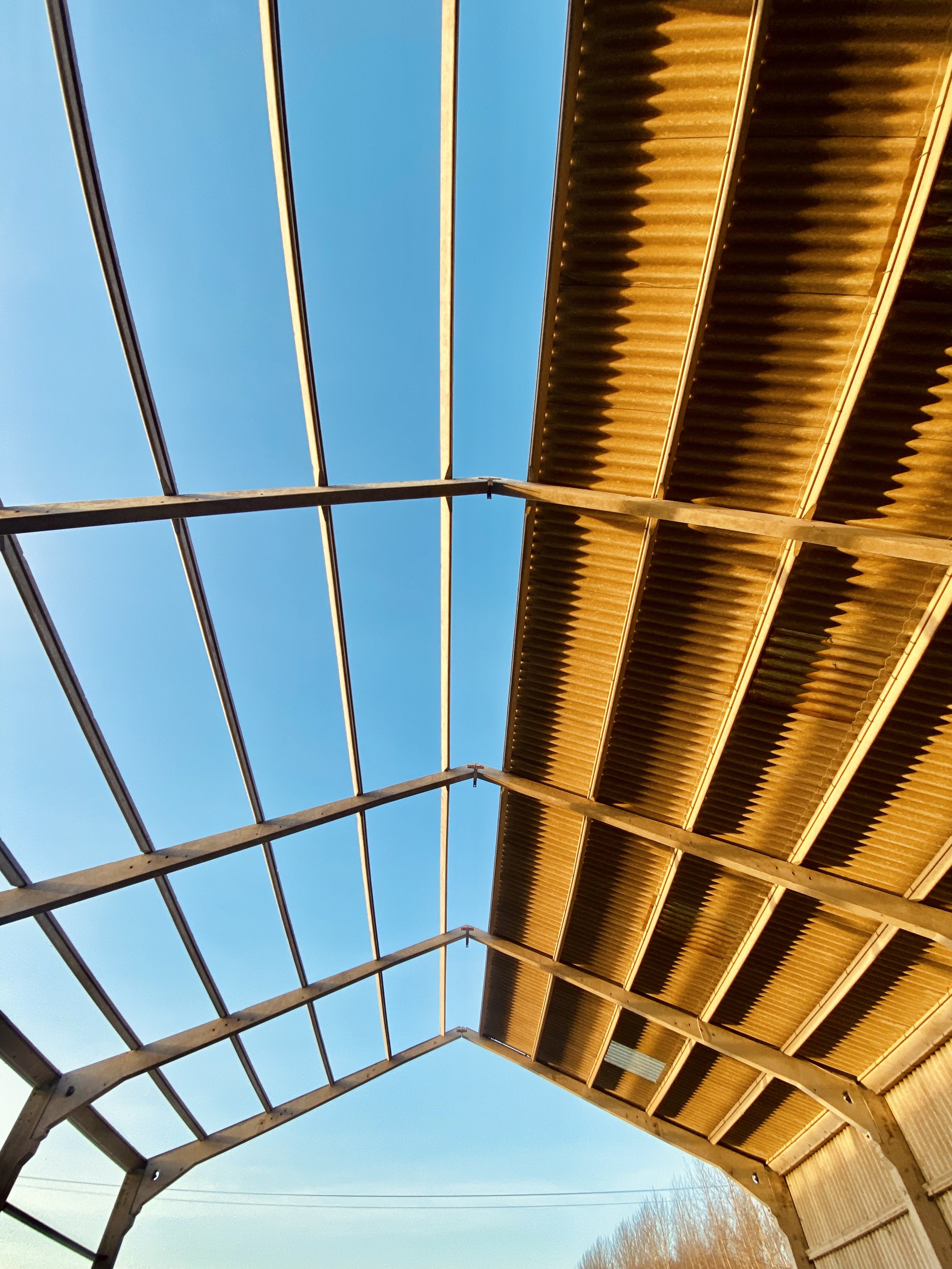 Partially constructed building framework with exposed beams and corrugated metal roofing under a clear blue sky.