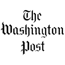 wp trans download2.png