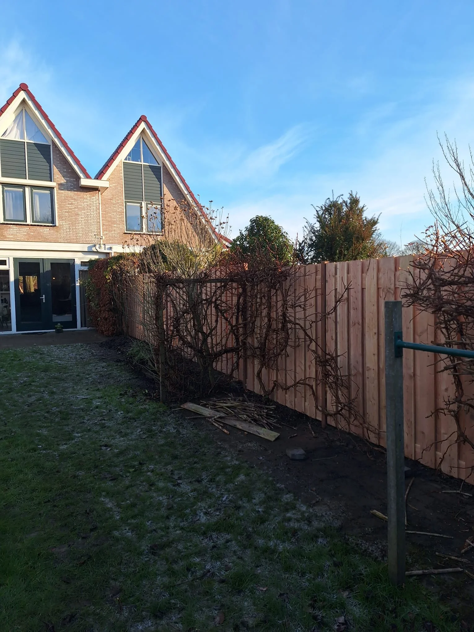 Schutting 20050-.jpg