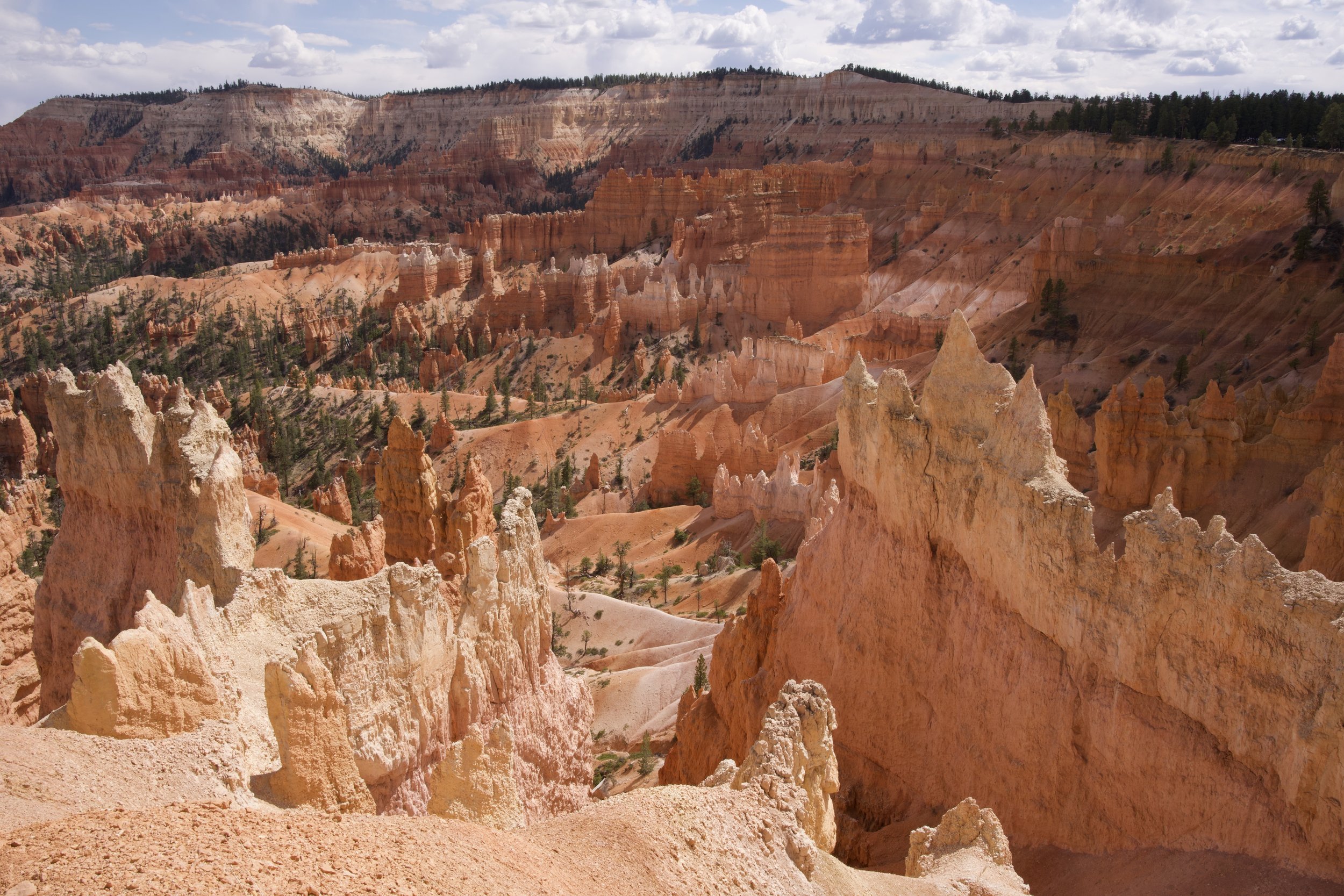 Take My Advice and Go To Bryce