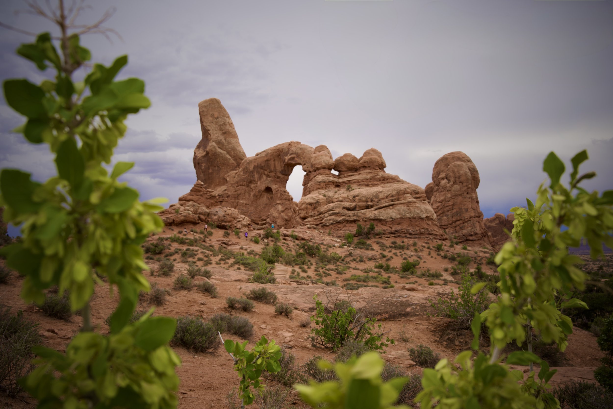 Moab, UT: Totally Rocks