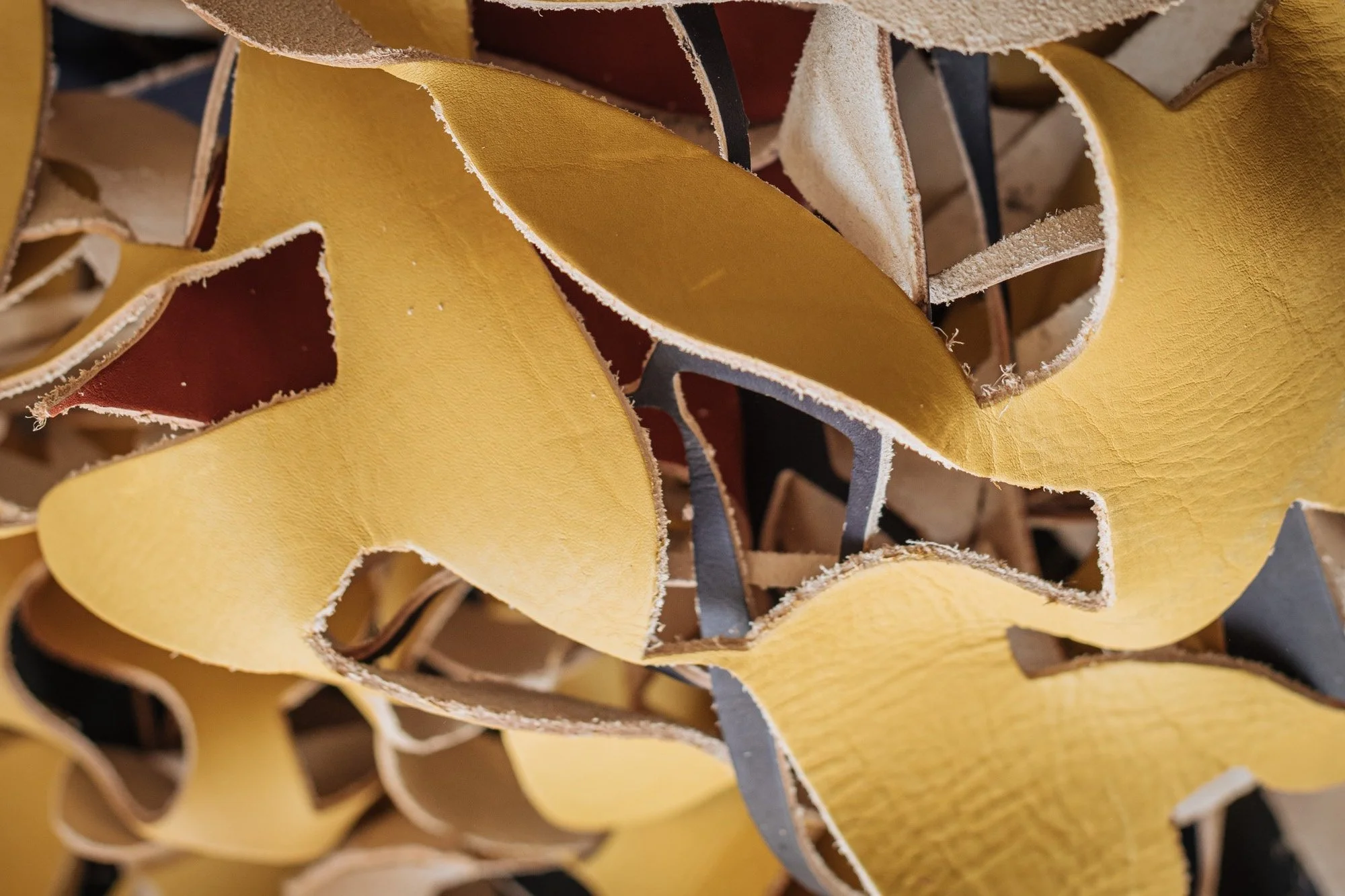 Des copeaux de bois colorés en jaune, rouge et noir.