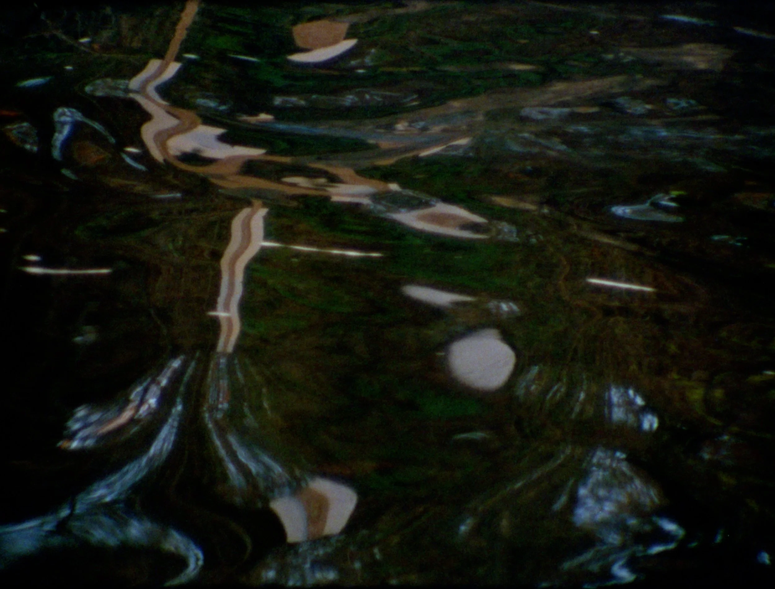 K_Valaika_1204_GRADED.00_24_37_07.Still019.jpg