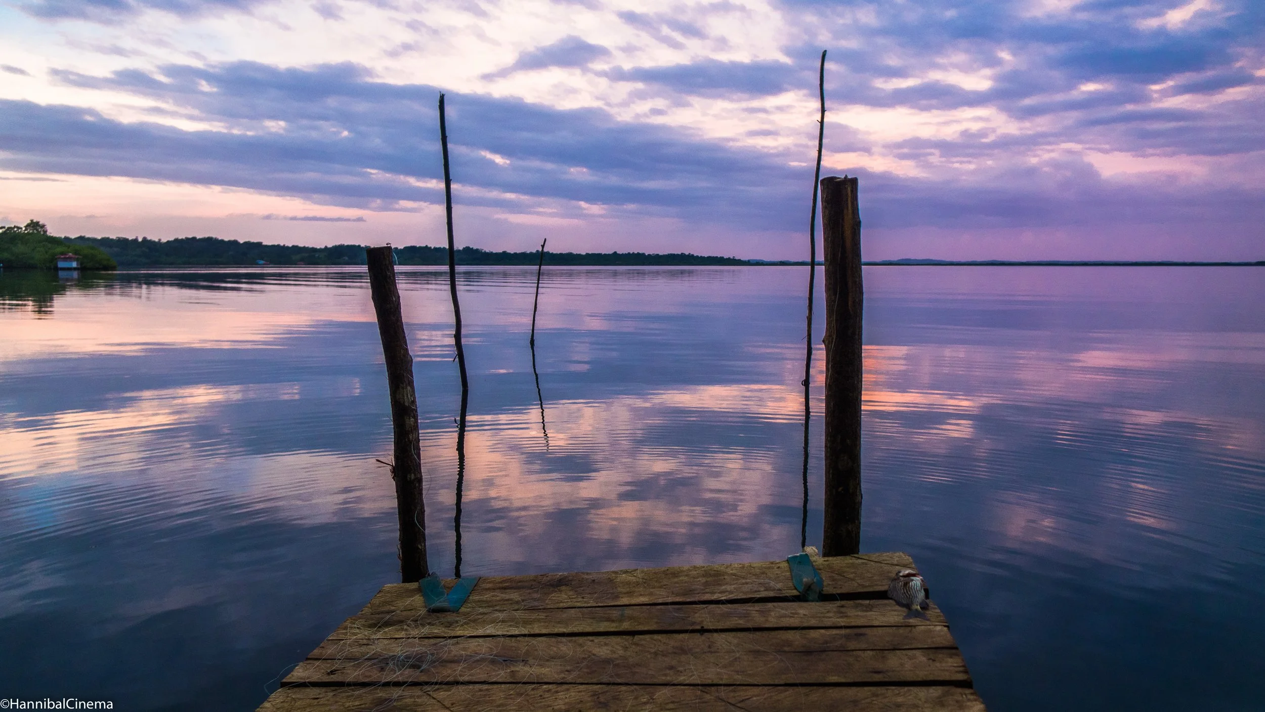 A wooden dock with weathered posts extending into a calm, reflective body of water during sunset or sunrise, with a sky filled with purple and pink clouds and a distant treeline.
