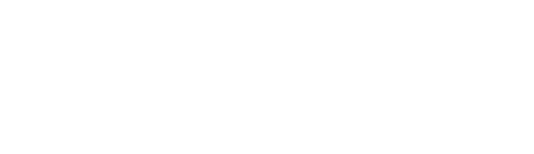 The word 'SHREDDY' in bold, stylized white font on a black background.