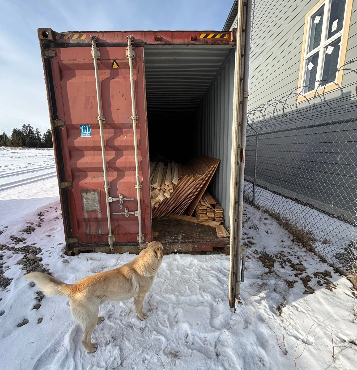 Dog Shed Construction 