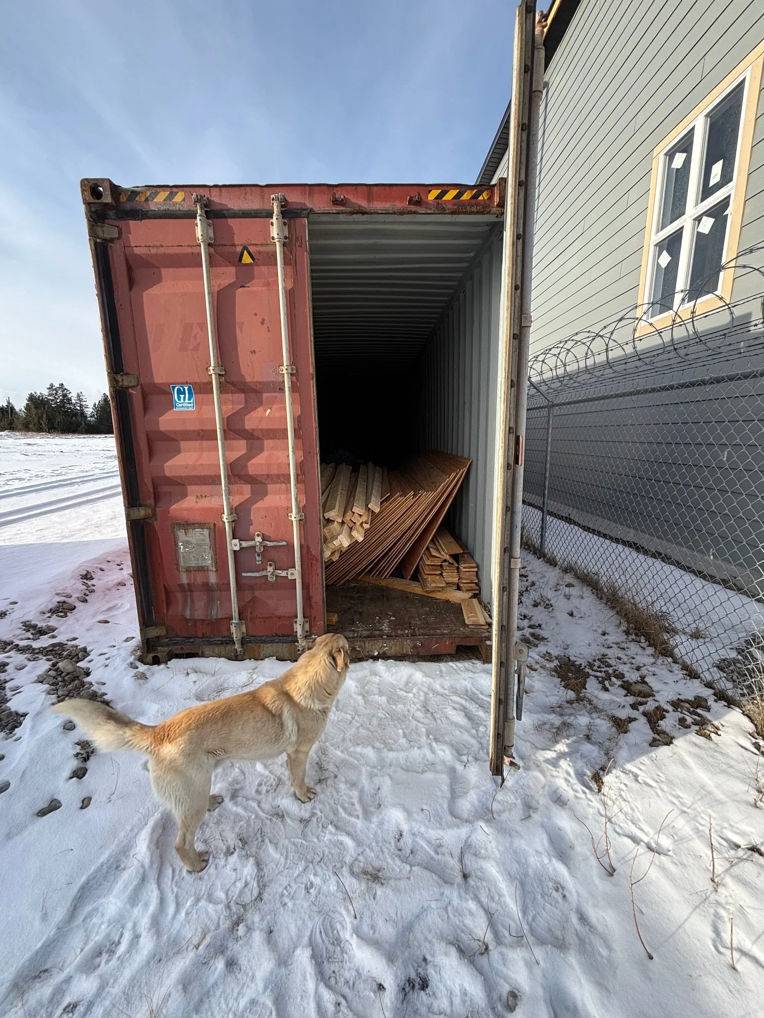 Dog Shed Sea Can Woord.jpg
