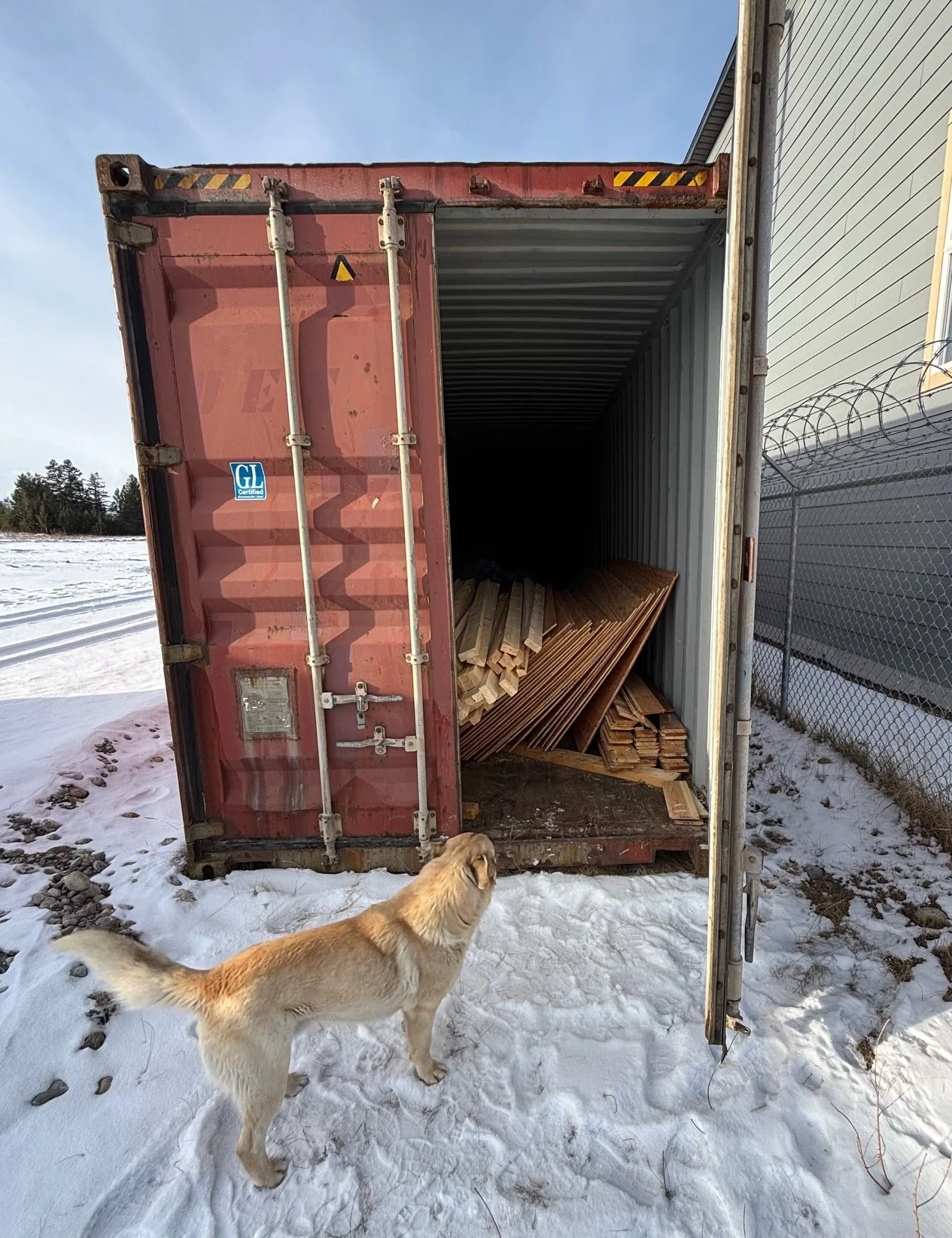 Dog Shed Sea Can Woord.jpg
