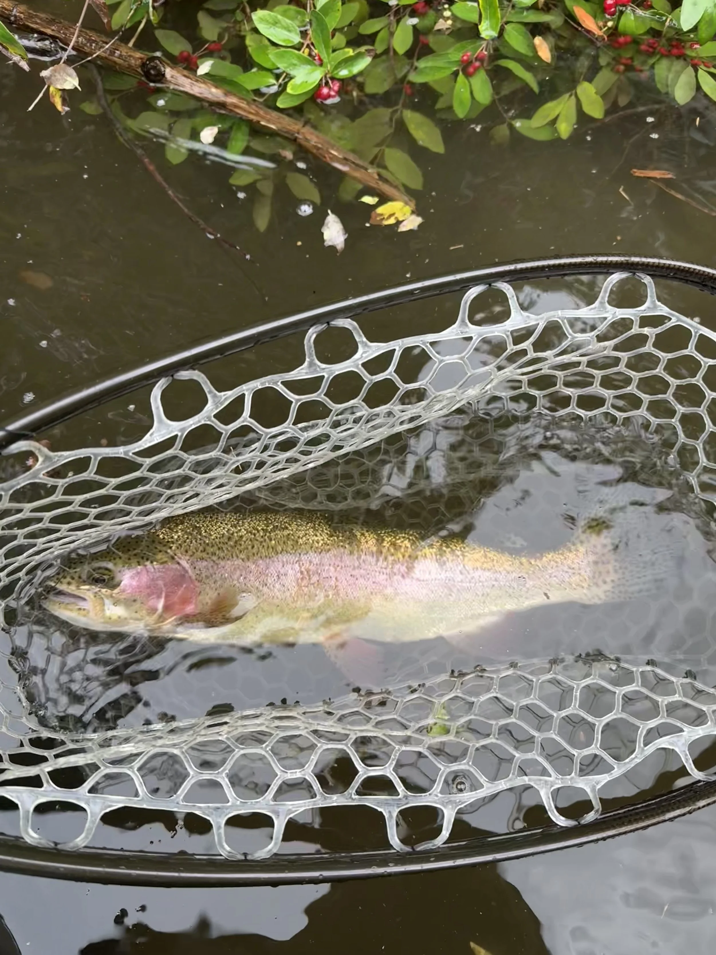 Fishing Report 
