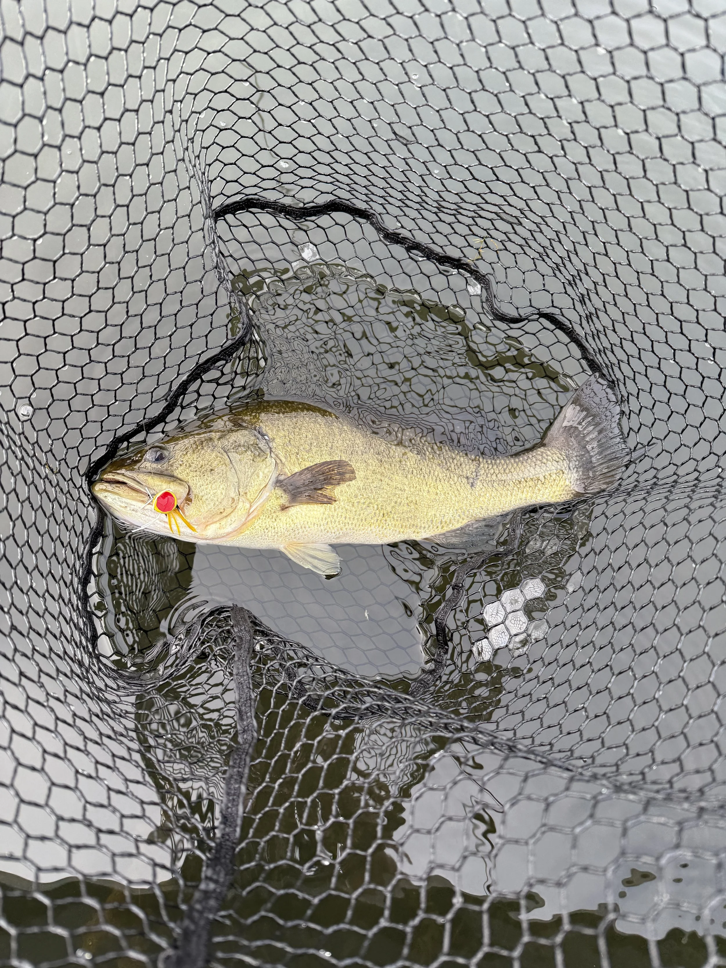 Fishing Report 8/20/26