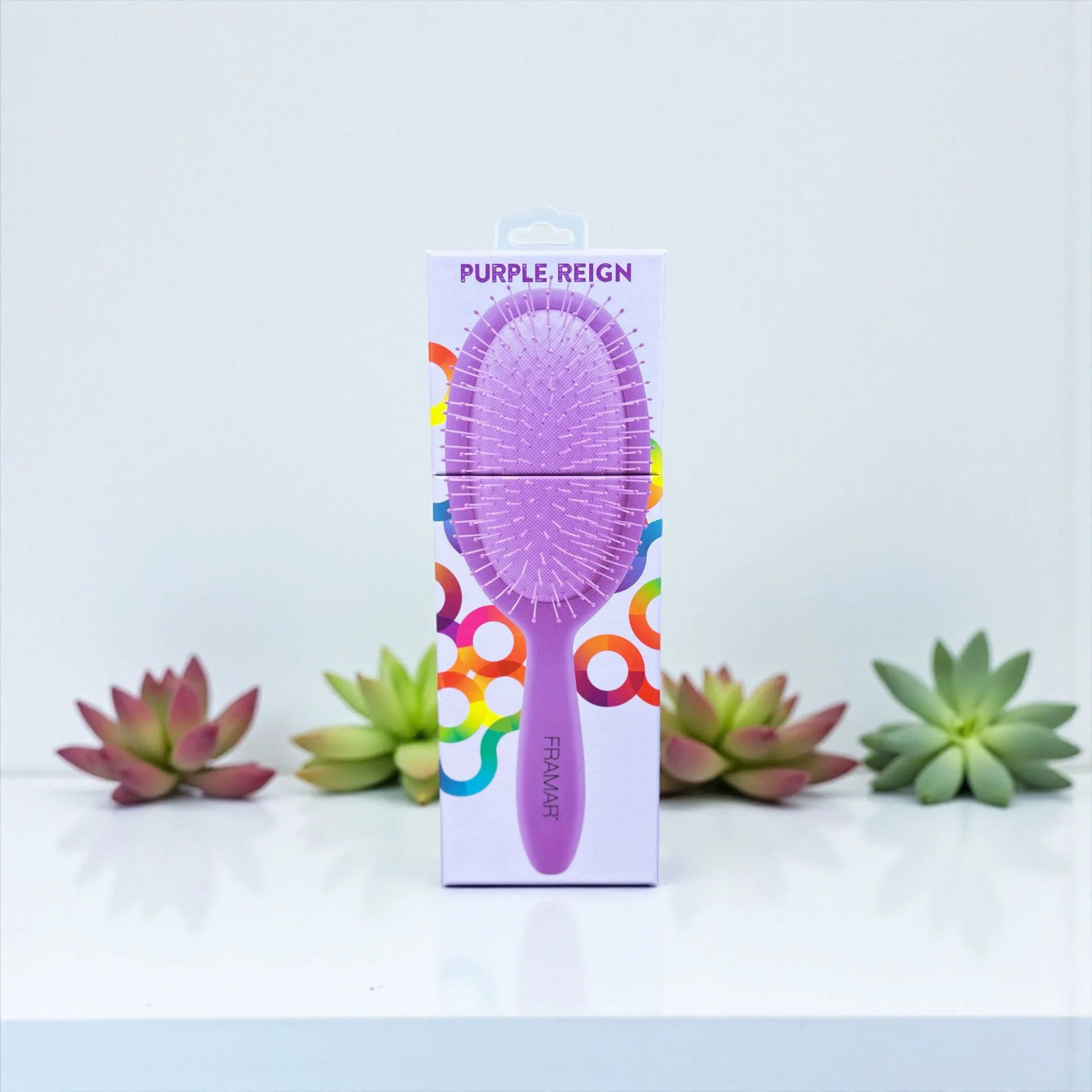 A purple hairbrush labeled "Purple Reign" displayed upright in front of a white background with colorful circular patterns and surrounded by green and pink succulents.