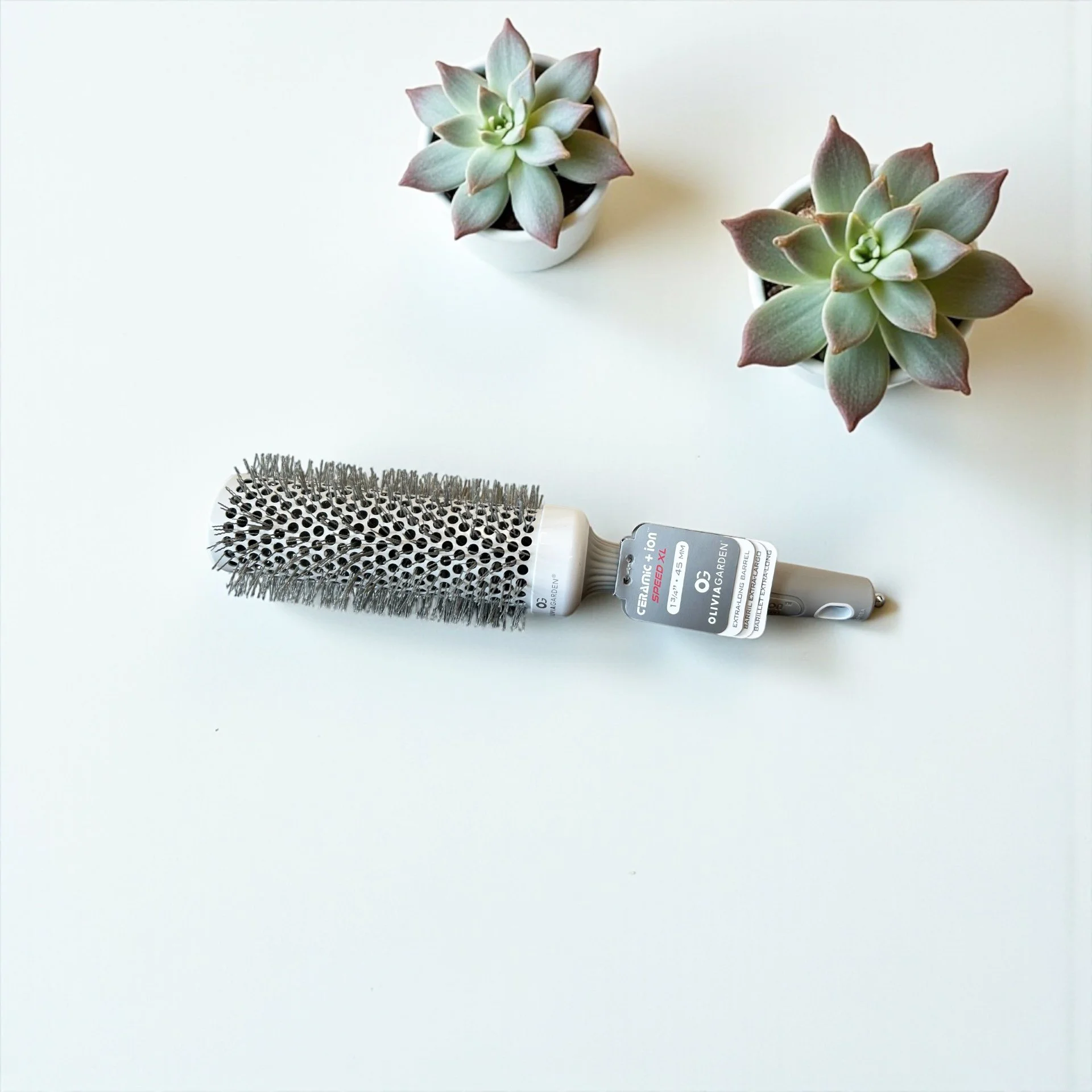 Two potted succulents and a round hairbrush with a white handle on a white surface.