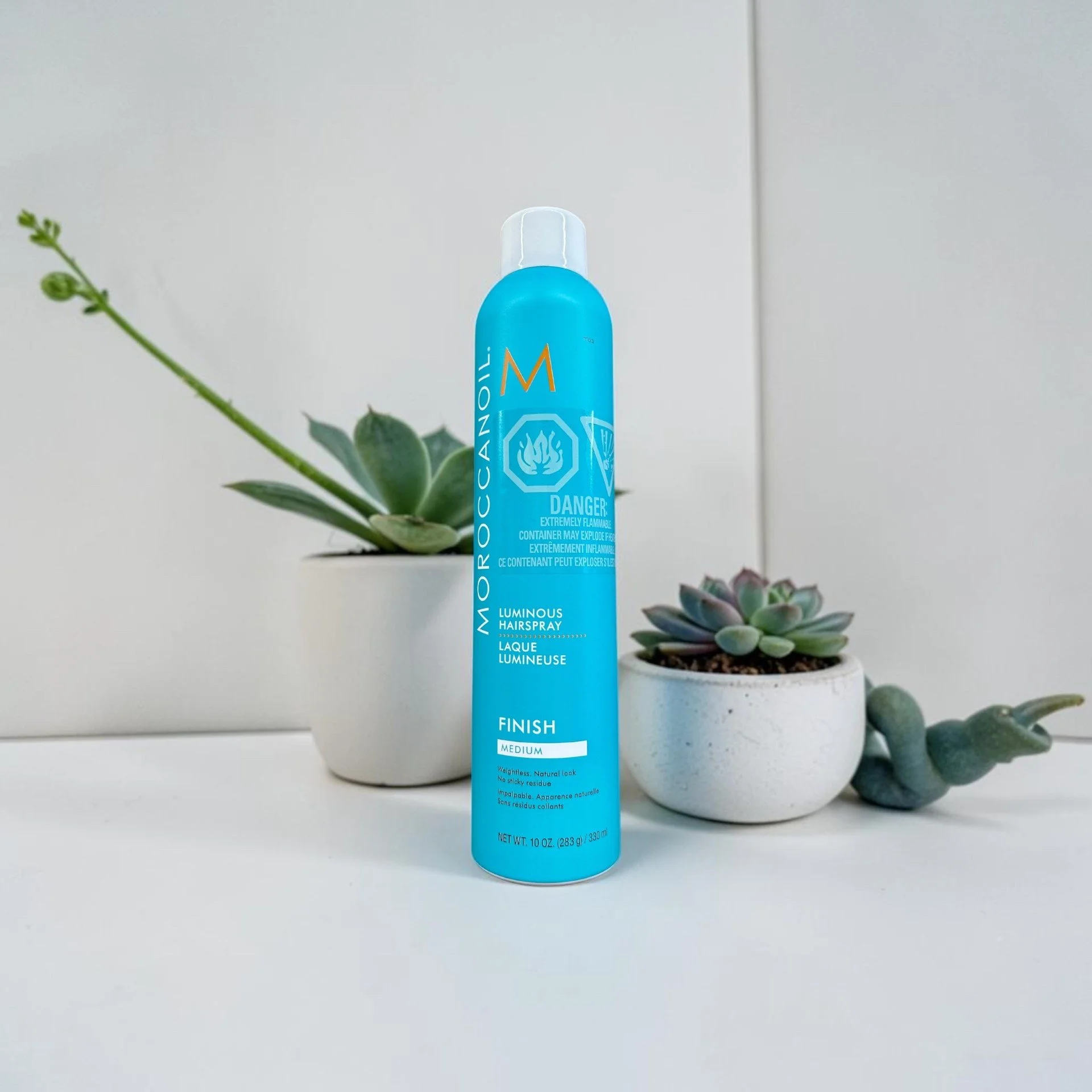 A blue can of Moroccanoil Luminous Hairspray standing upright next to two potted succulent plants, one in a white pot and the other in a textured gray pot, on a white surface with a plain white background.