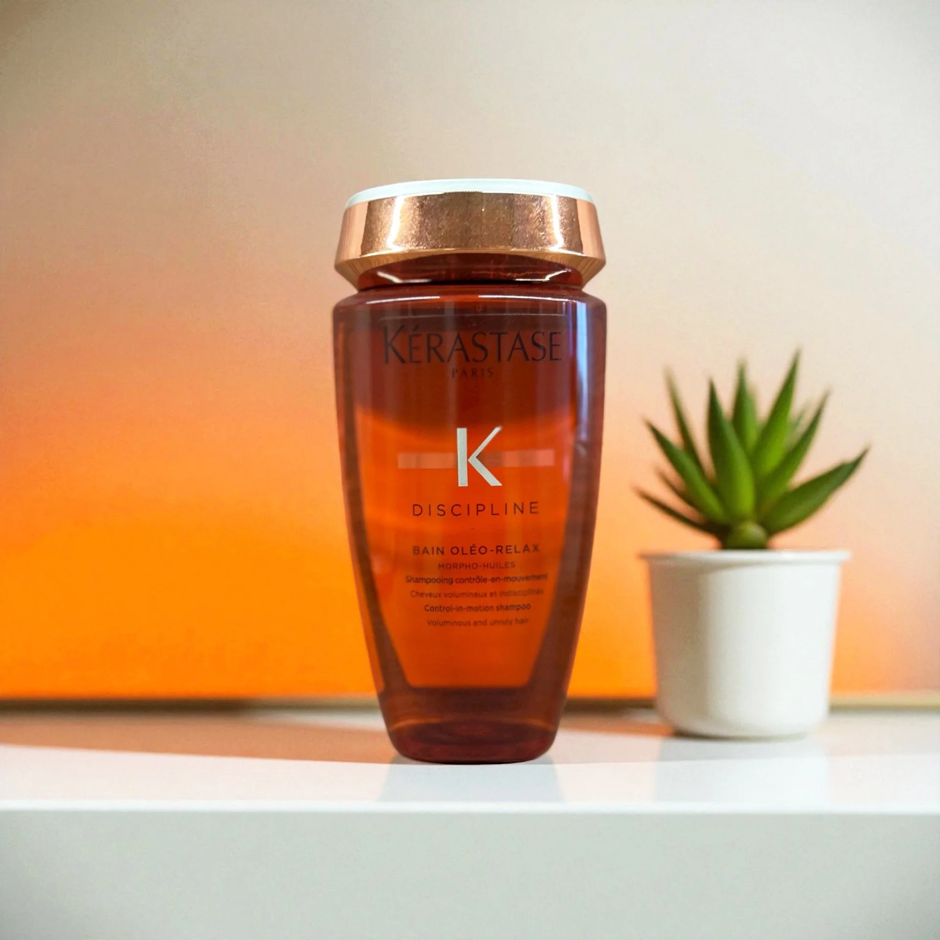A bottle of Kérastase Discipline Bain Oléo-Relax shampoo with a small potted succulent plant beside it on a white surface with a warm-toned background.