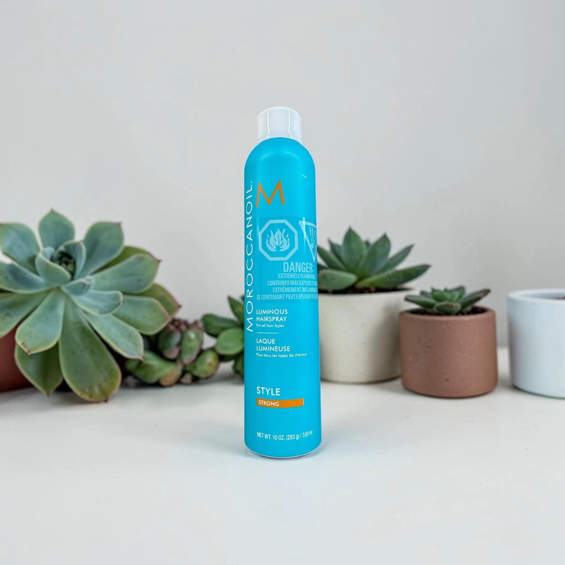 A blue can of Moroccanoil Hair Spray stands upright between two potted succulent plants with rosette-shaped leaves, against a plain light gray background.