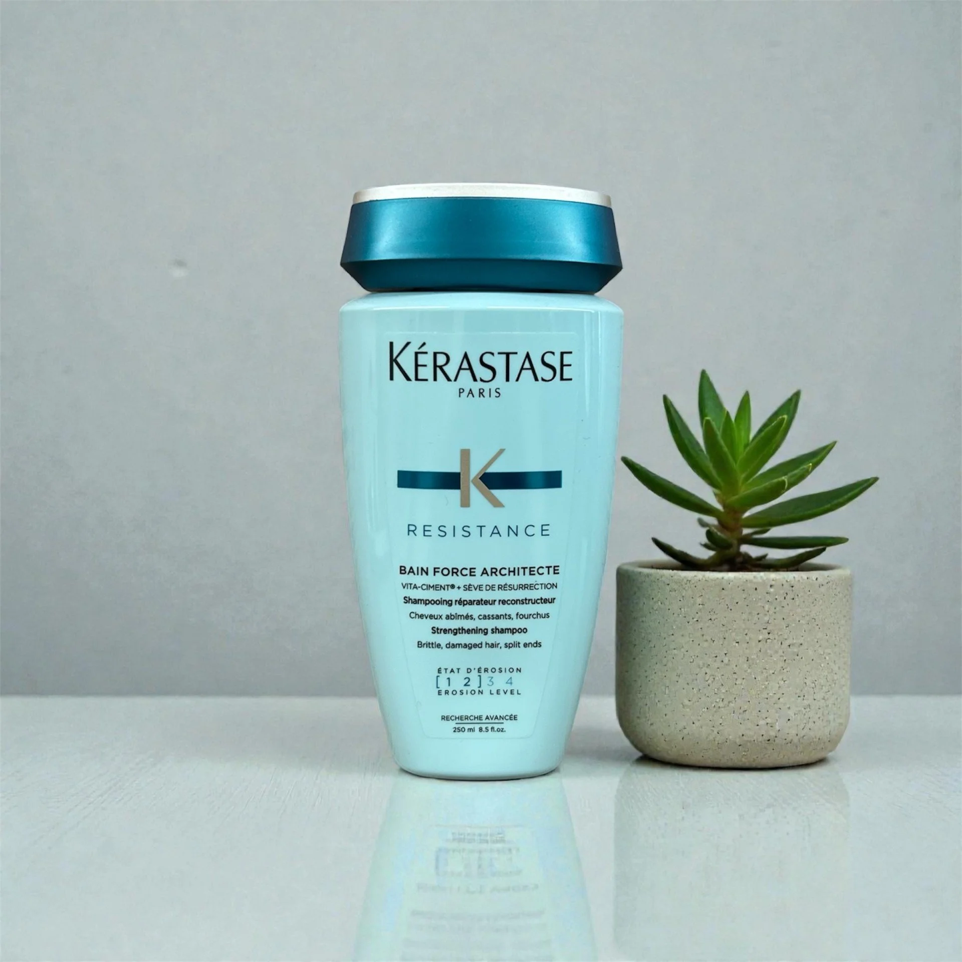 A bottle of Kérastase Resistance Bain Force Architecte shampoo next to a small potted succulent plant on a light-colored surface against a neutral background.